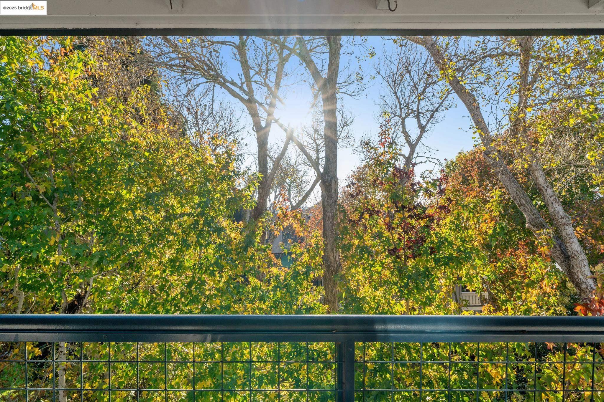 1207 Melville Sq # 417