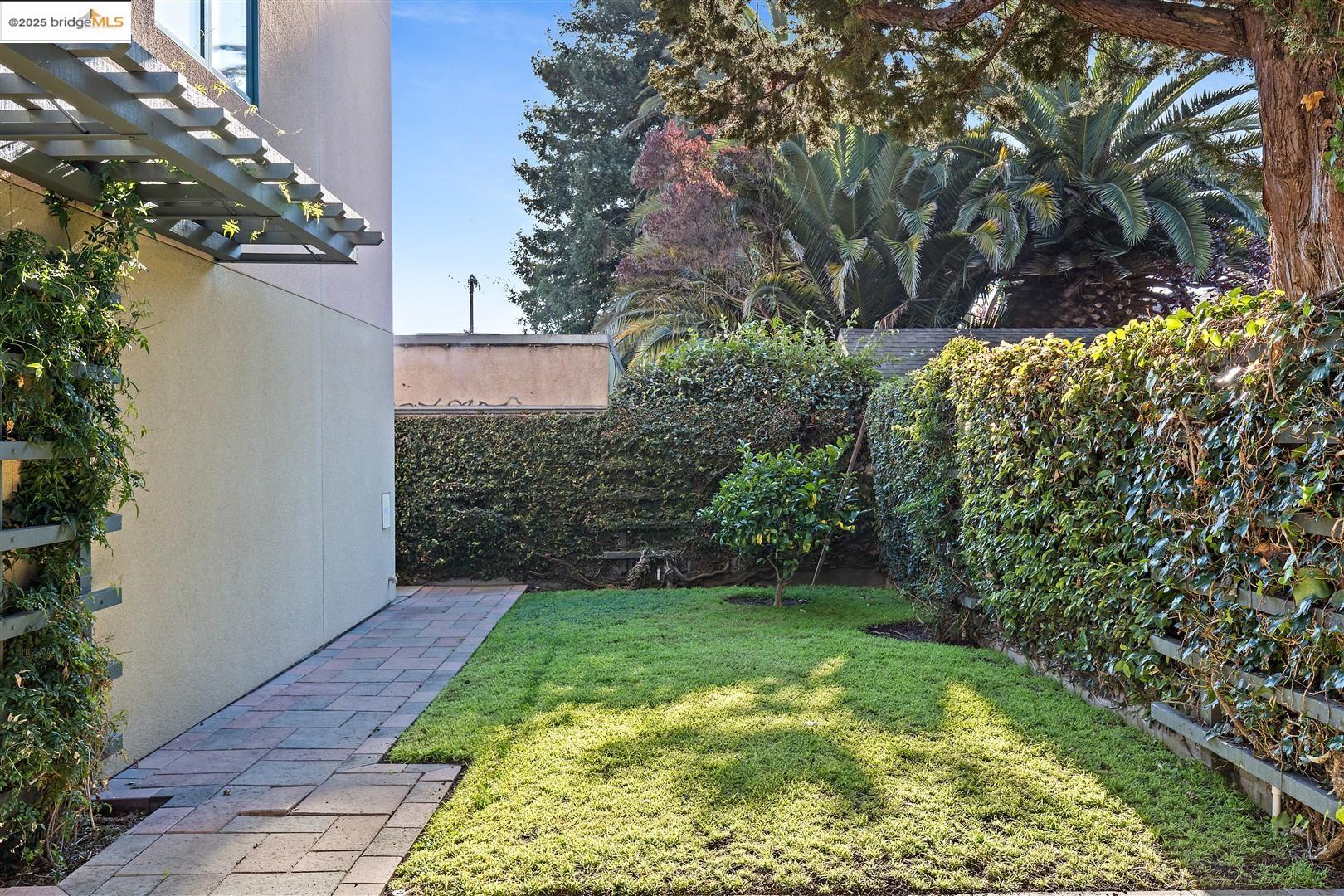 6555 Shattuck Avenue