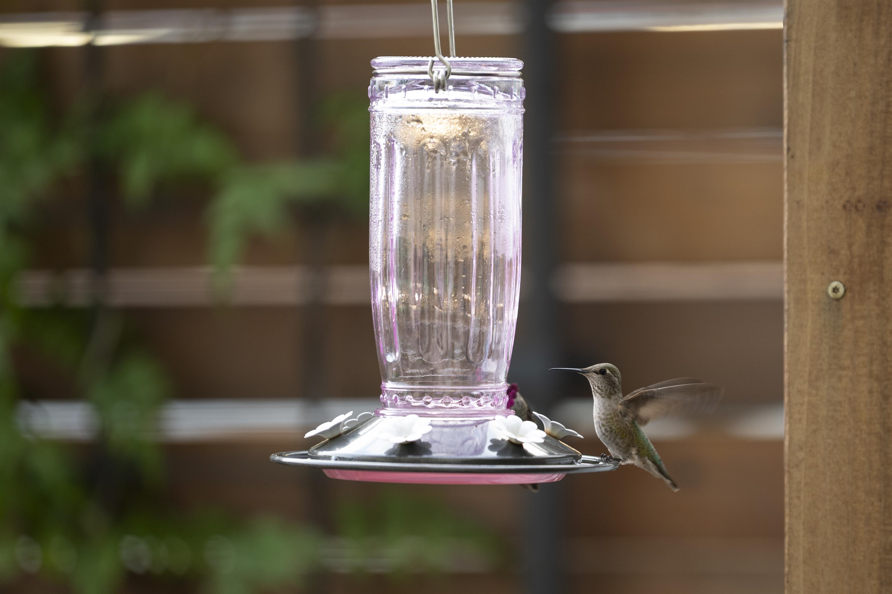 6465 San Pablo Ave # 206