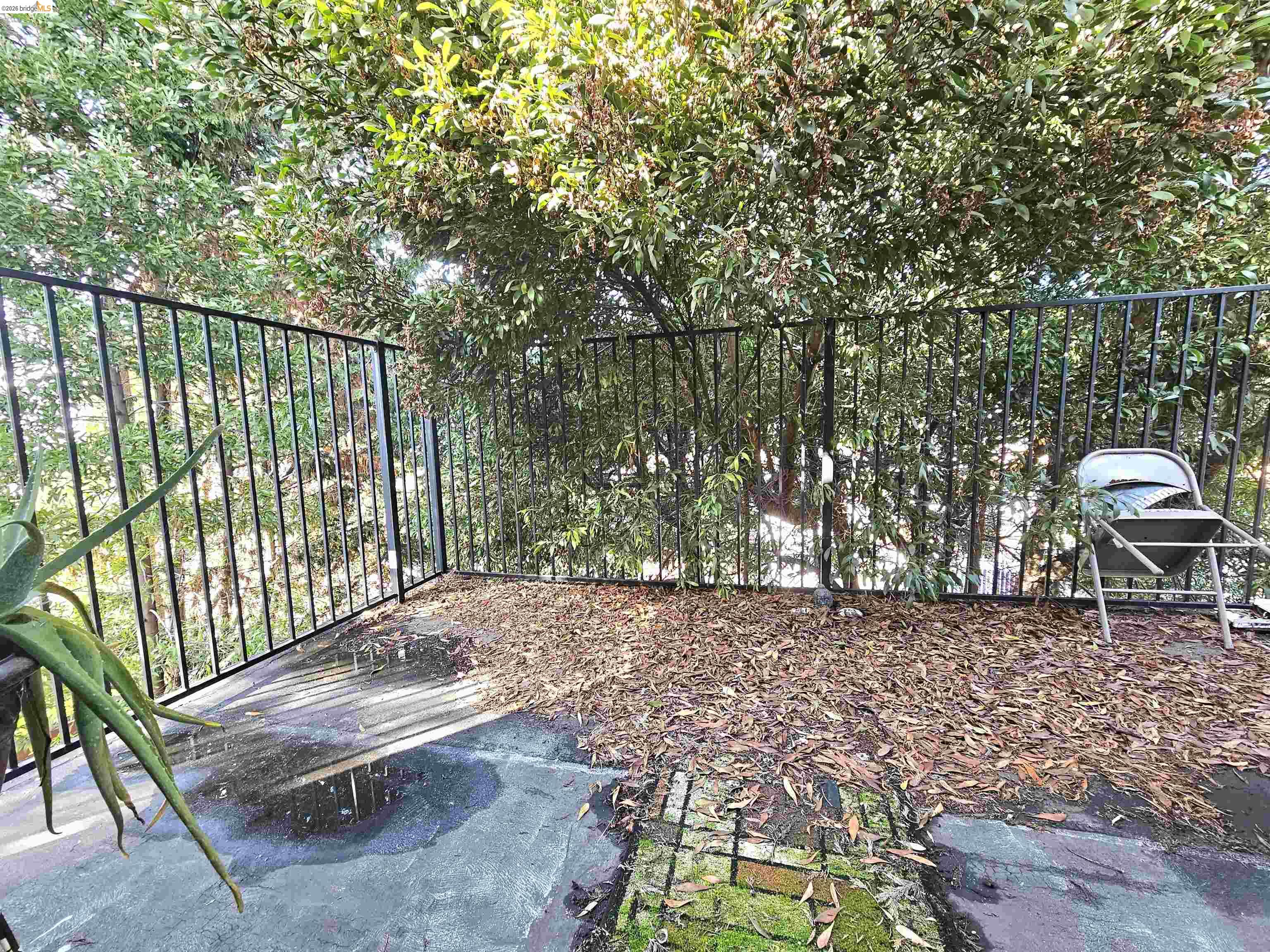 2443 Grande Vista Ave