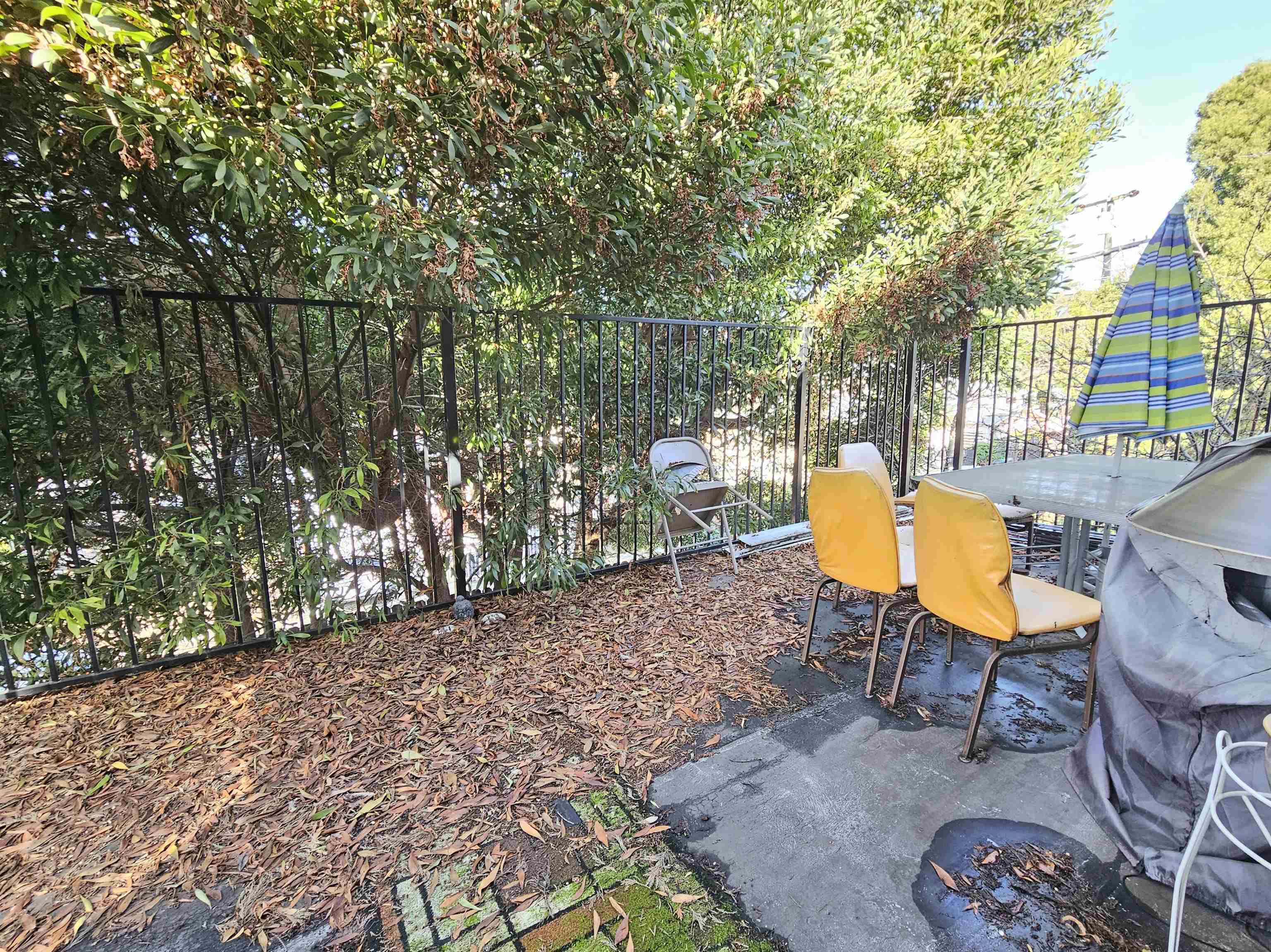 2443 Grande Vista Ave