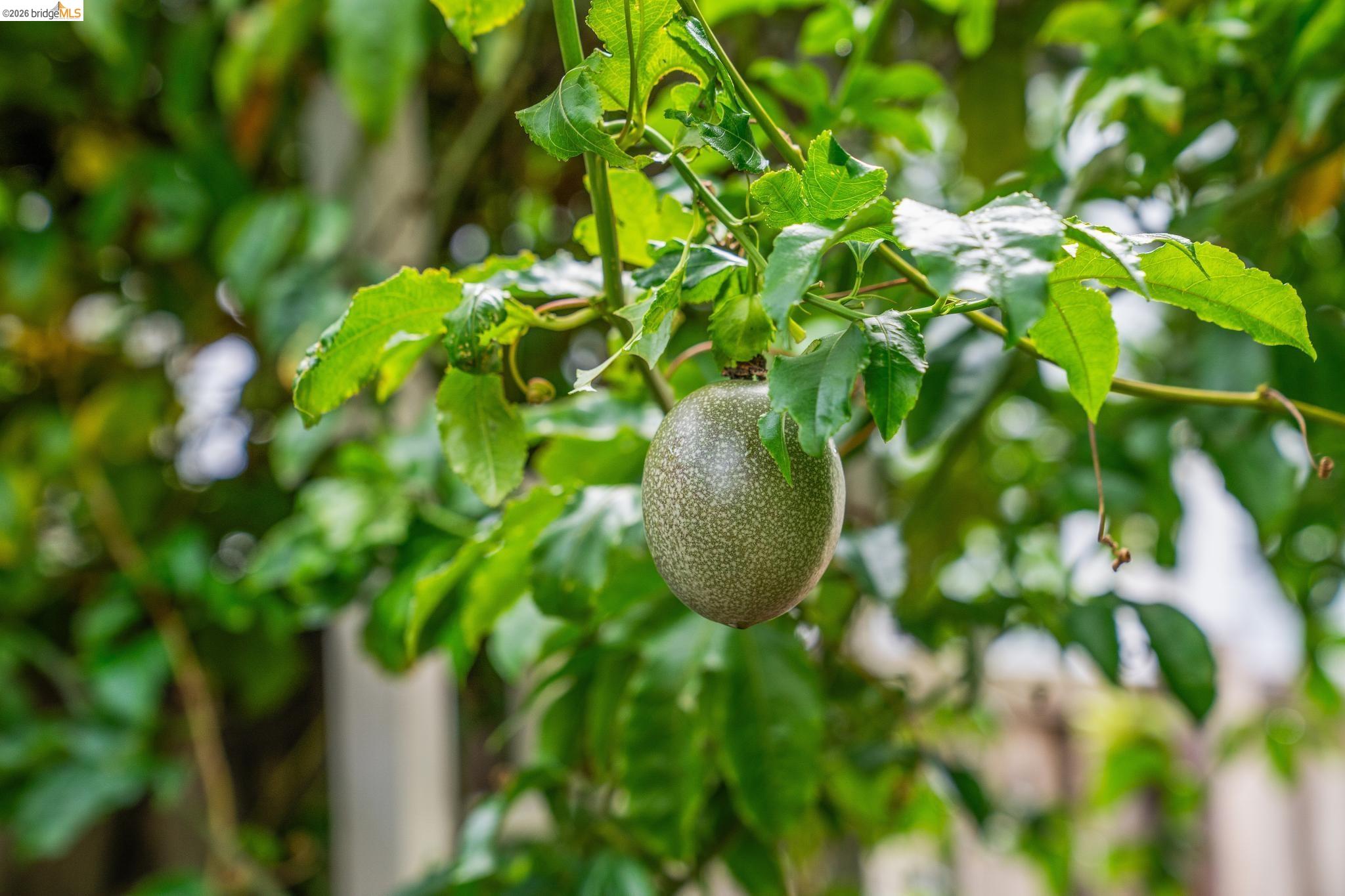 2761 Martin Luther King Jr Ave