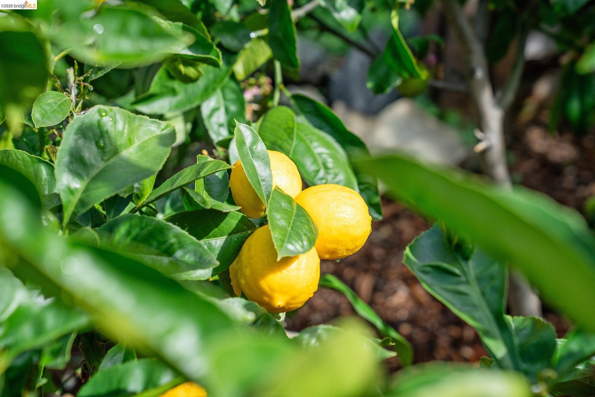 2761 Martin Luther King Jr Ave