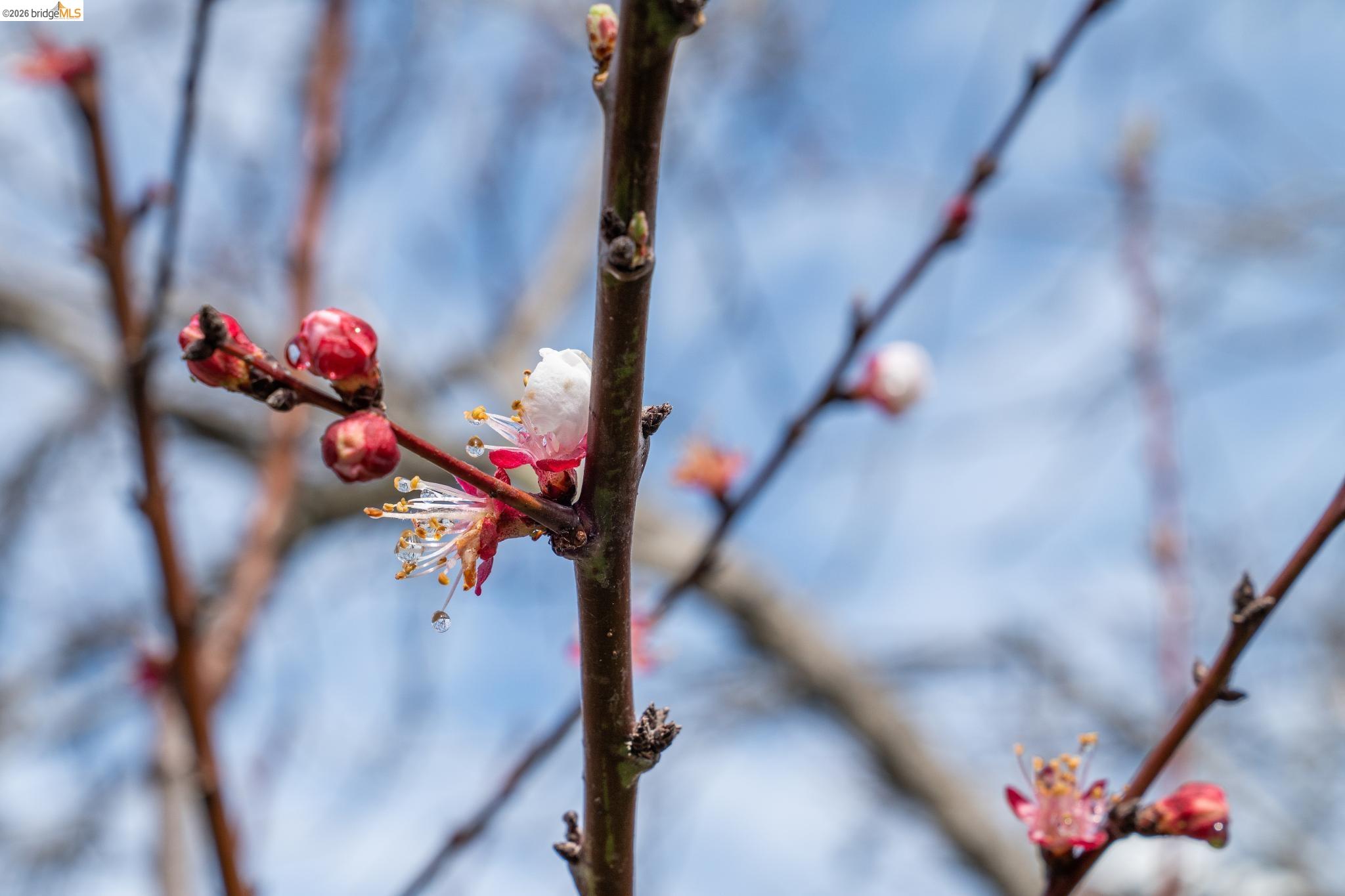 2761 Martin Luther King Jr Ave