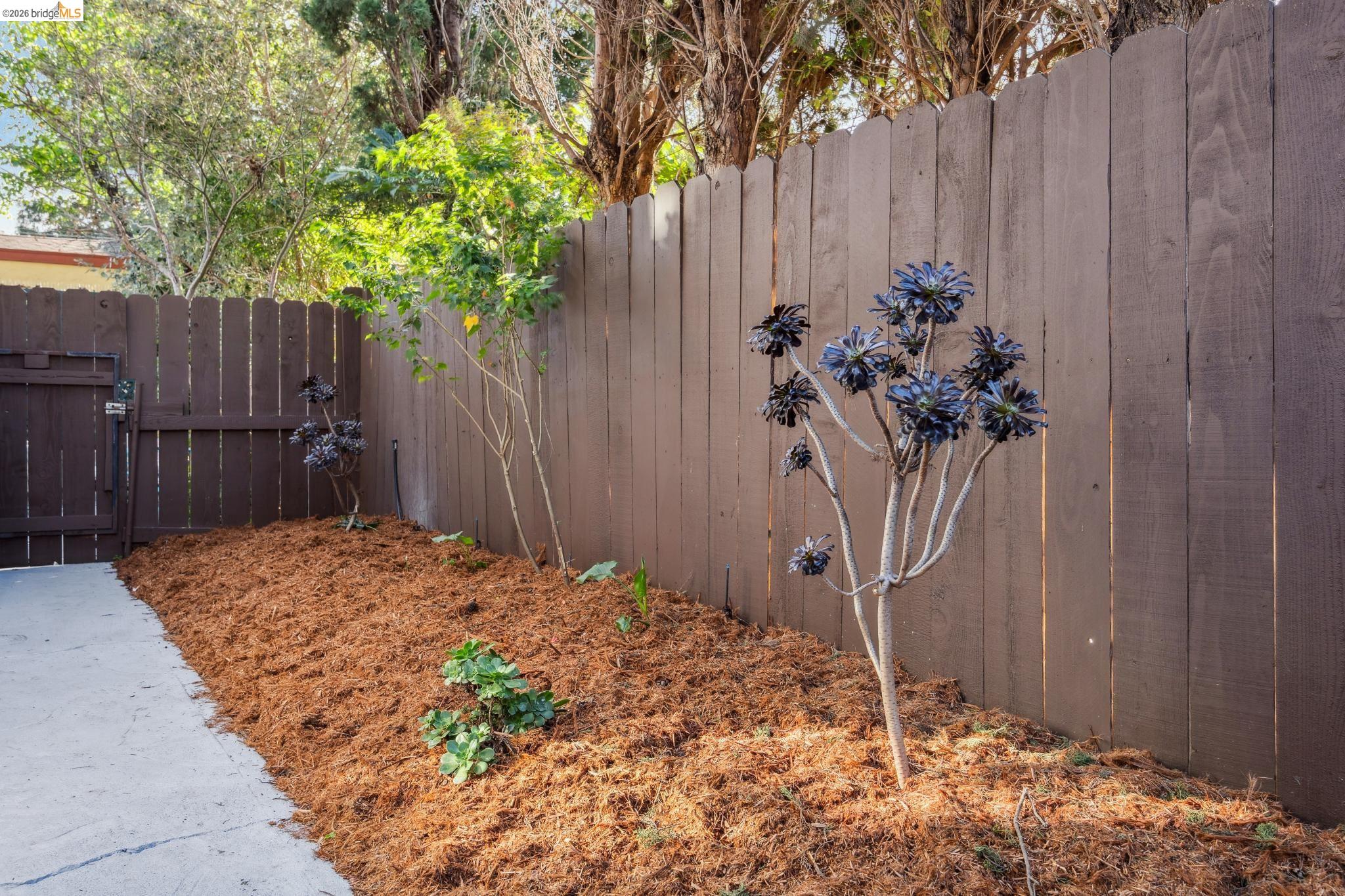 1207 Francisco Street #2