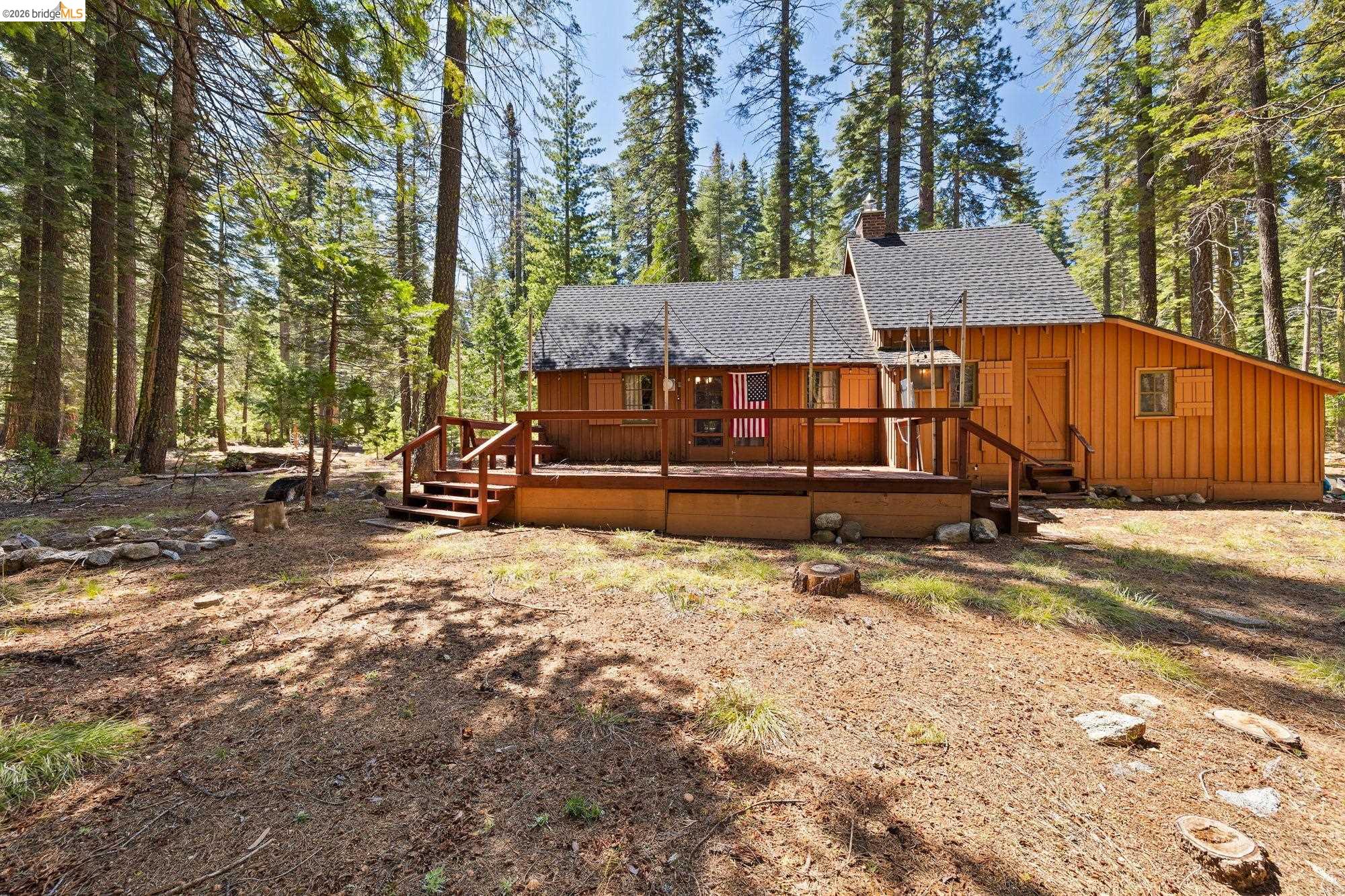 229 Sugarpine