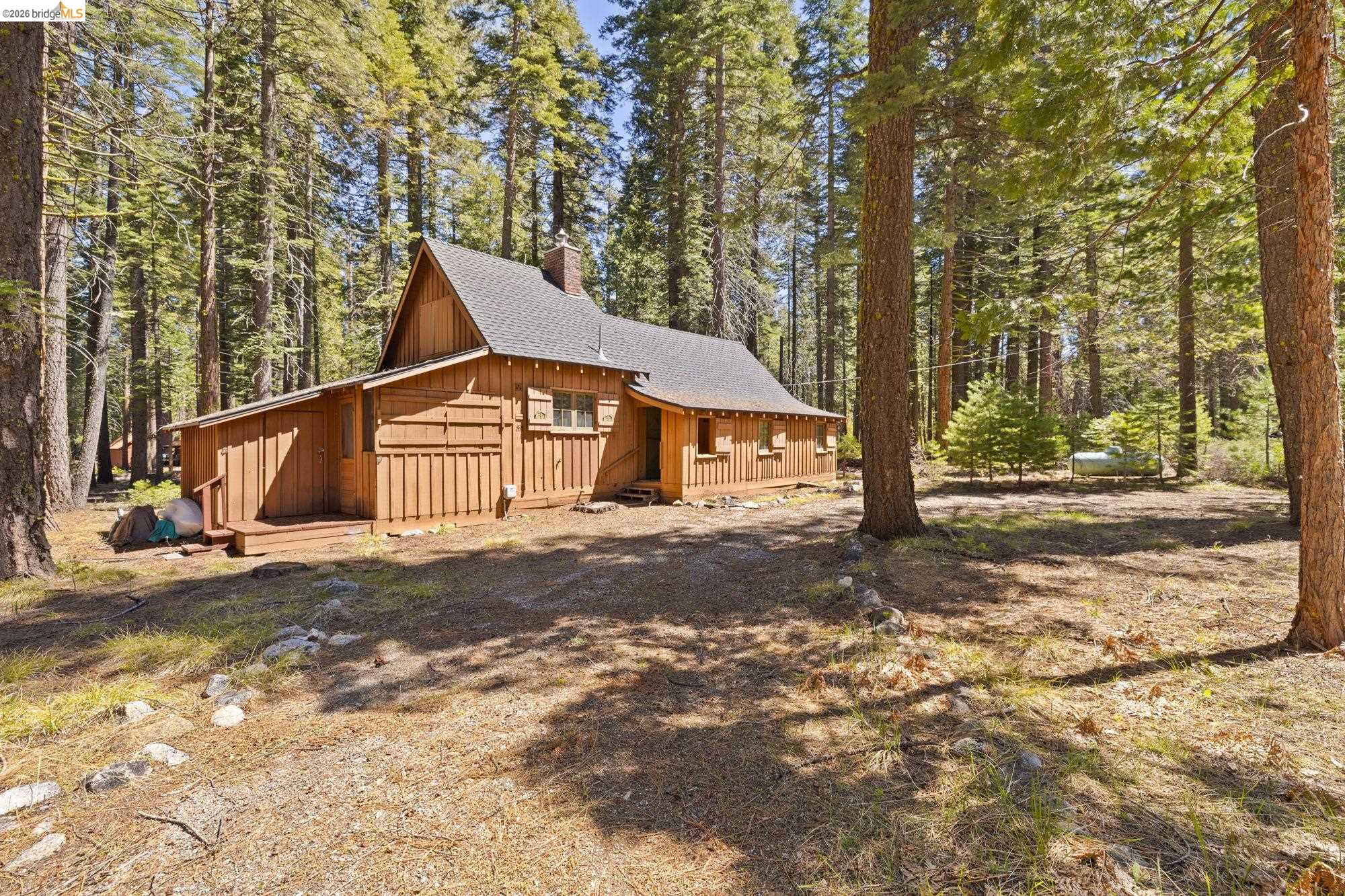 229 Sugarpine