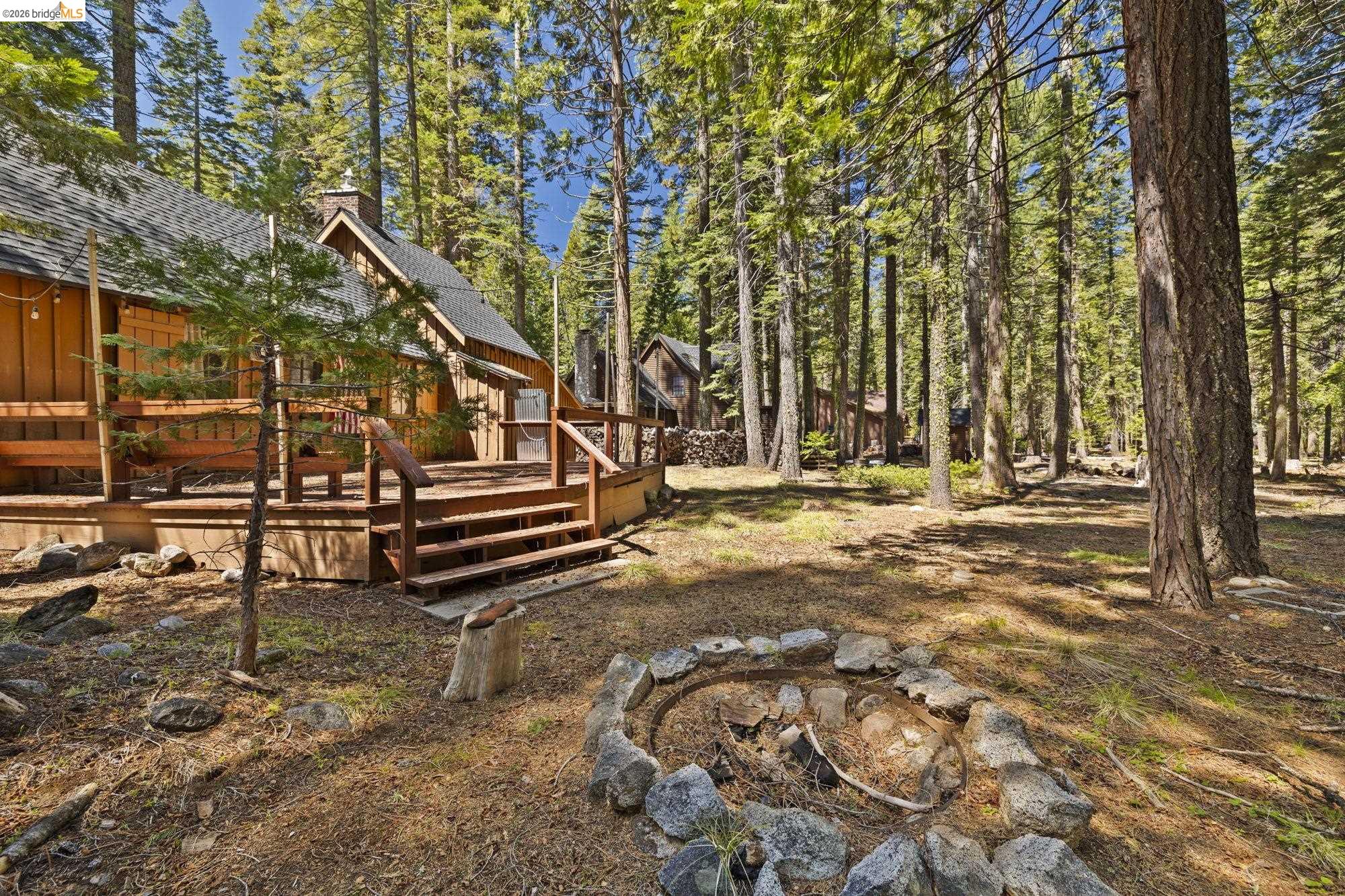 229 Sugarpine