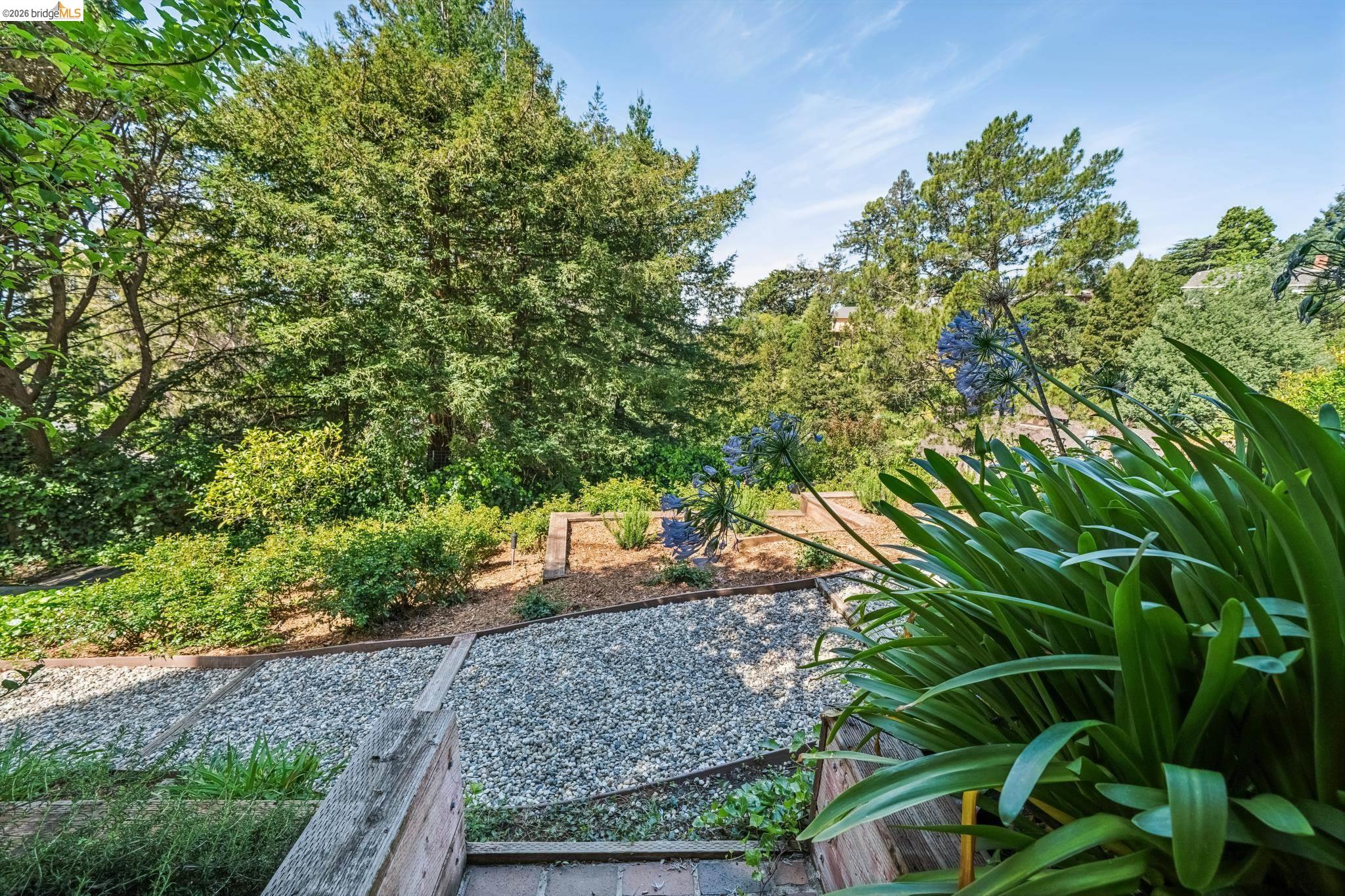 6277 Wood Dr
