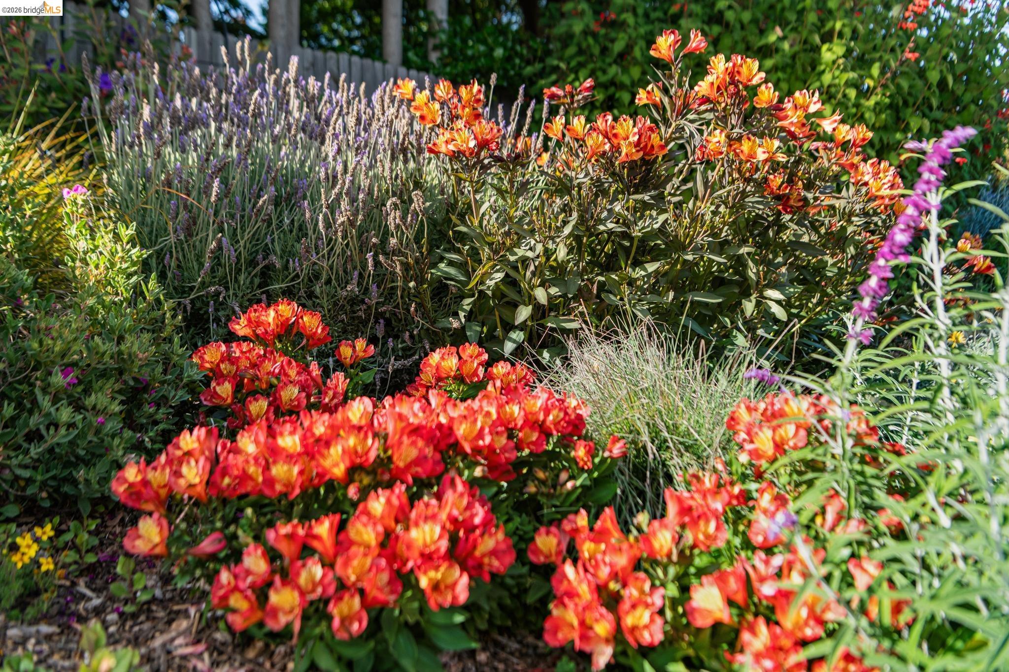 5703-5705 Panama Ave