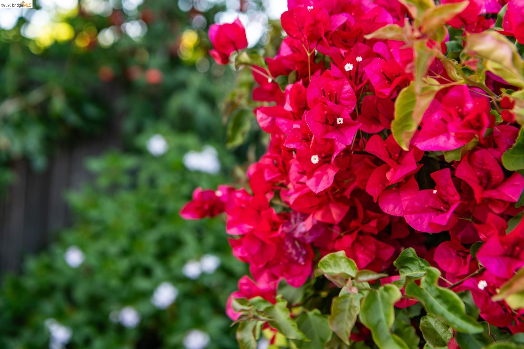 5703-5705 Panama Ave