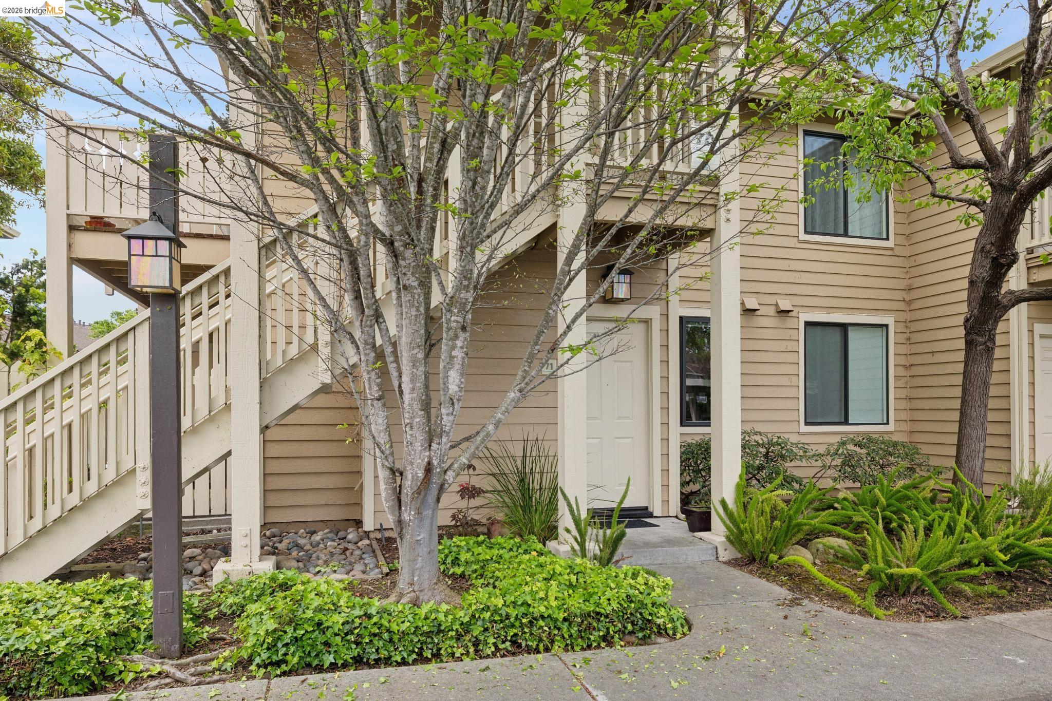 71 Lakeshore Ct