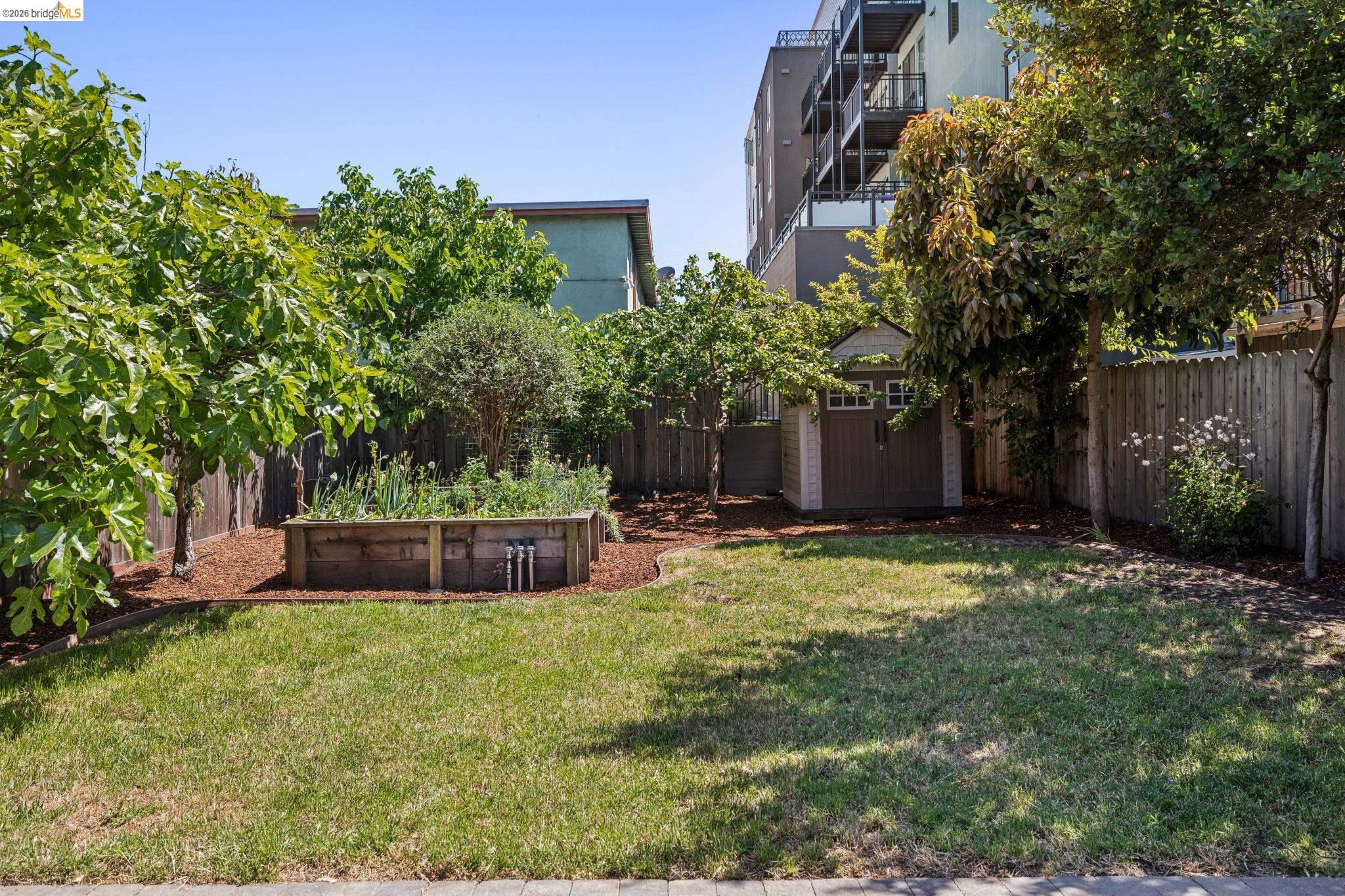 1108 Dwight Way