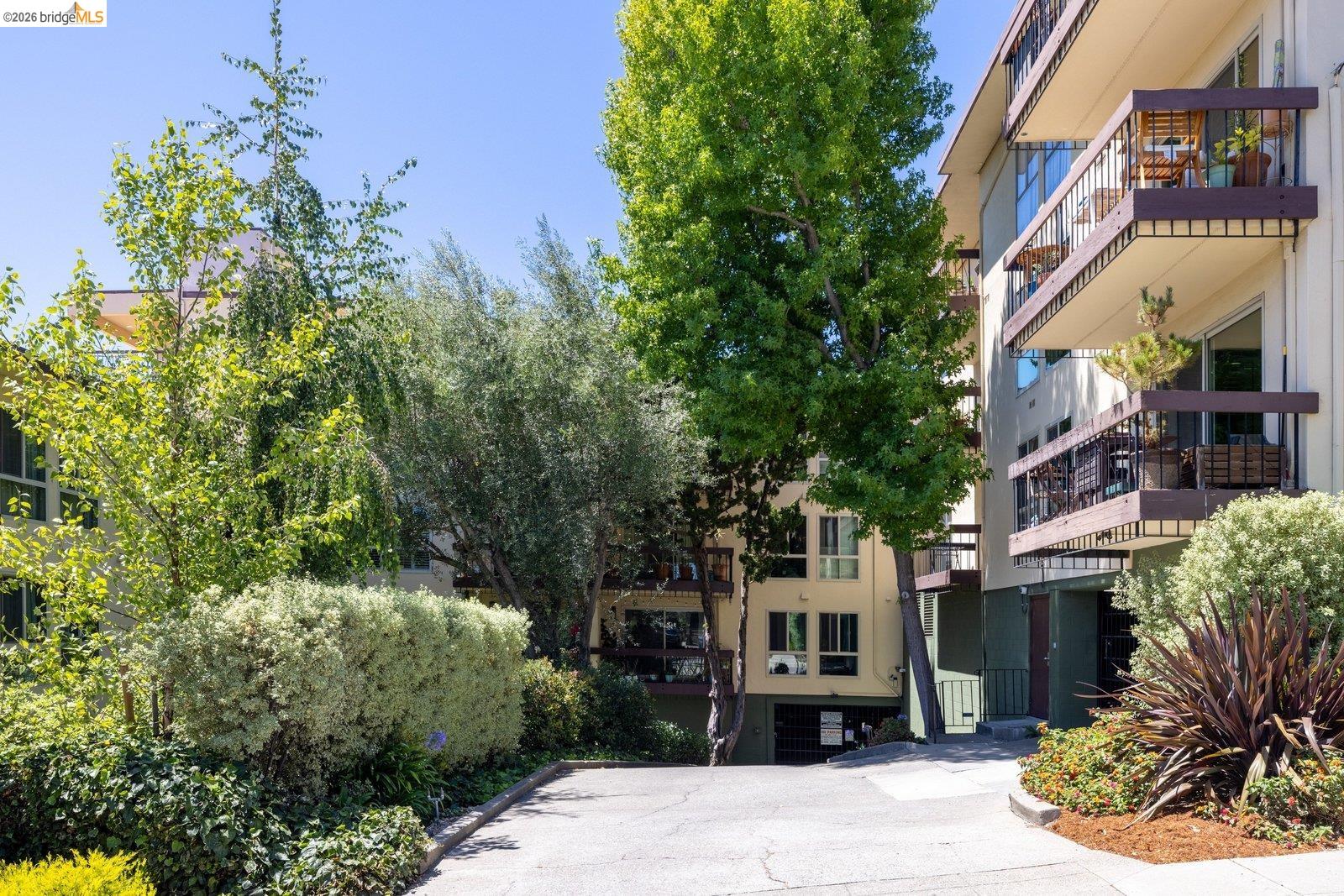 551 Jean St # 309