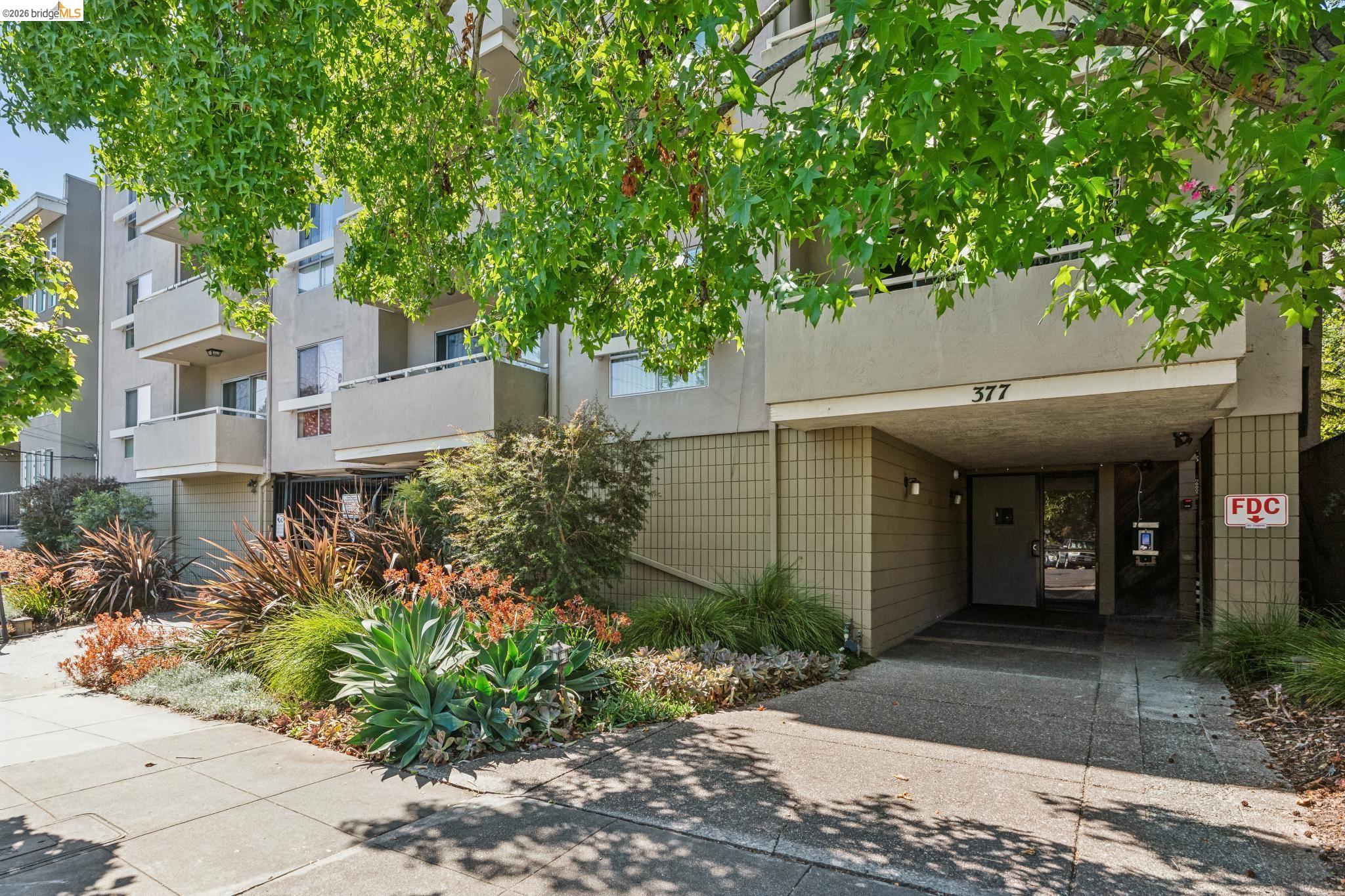 377 Palm Ave #305