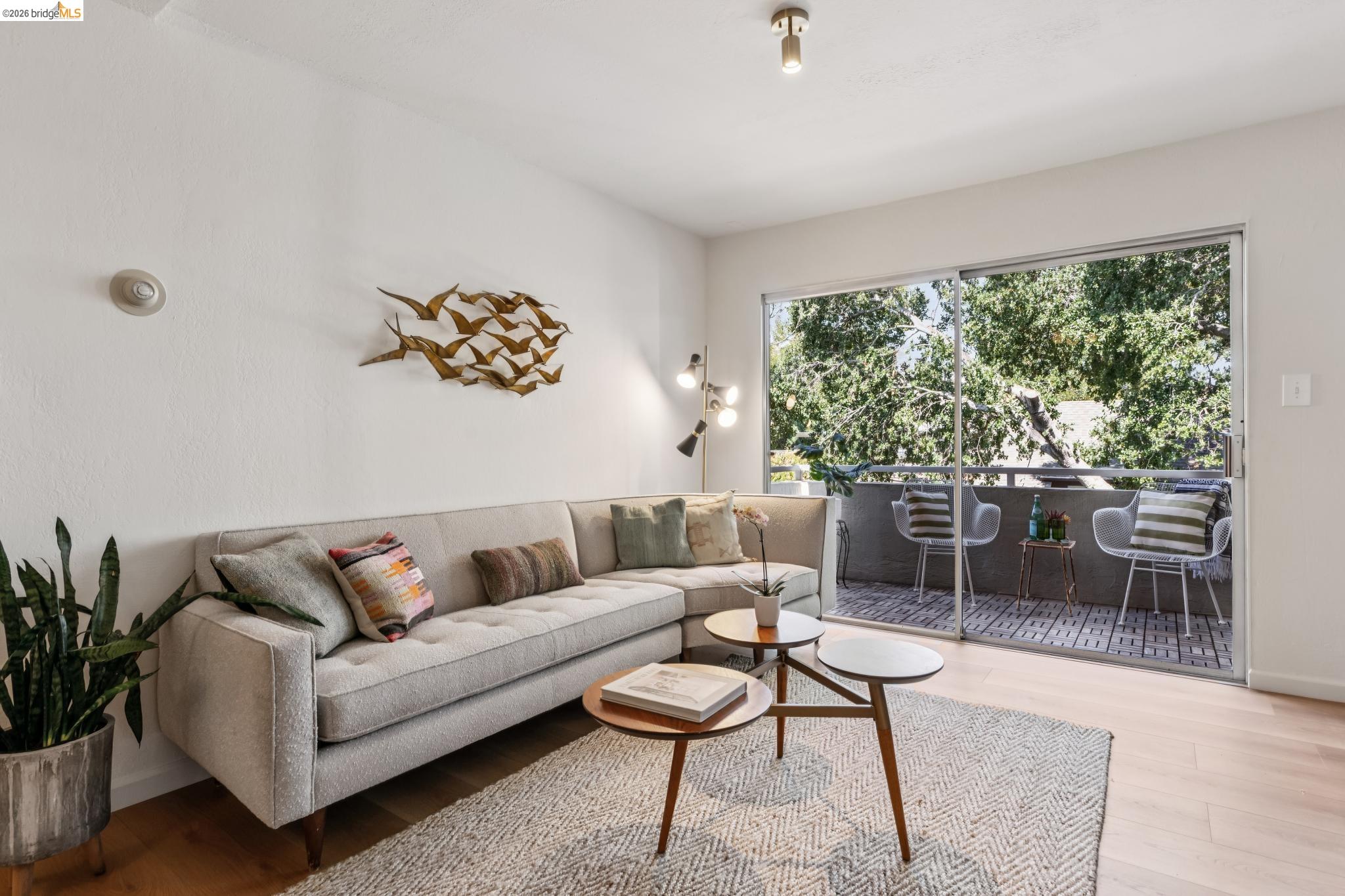 377 Palm Ave #305