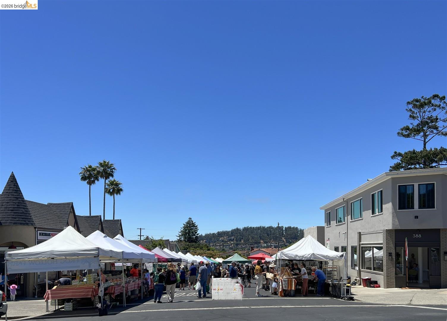 282 Grizzly Peak Blvd