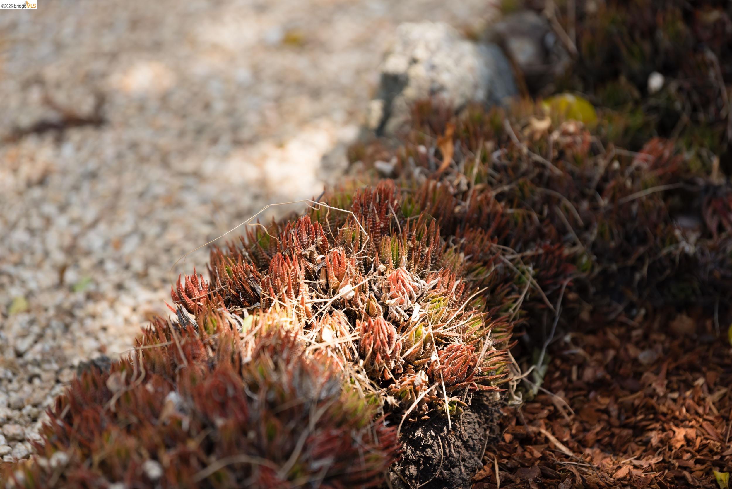 5313 Rosalind Ave