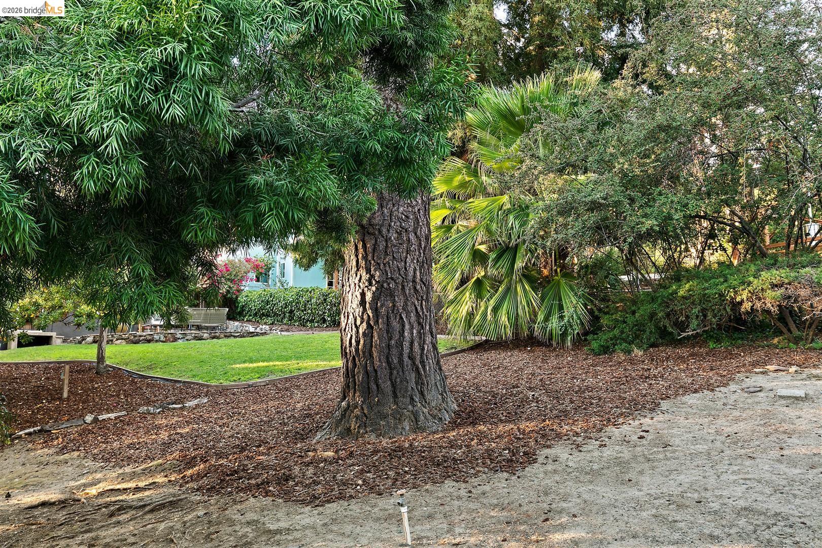 3842 Enos Ave