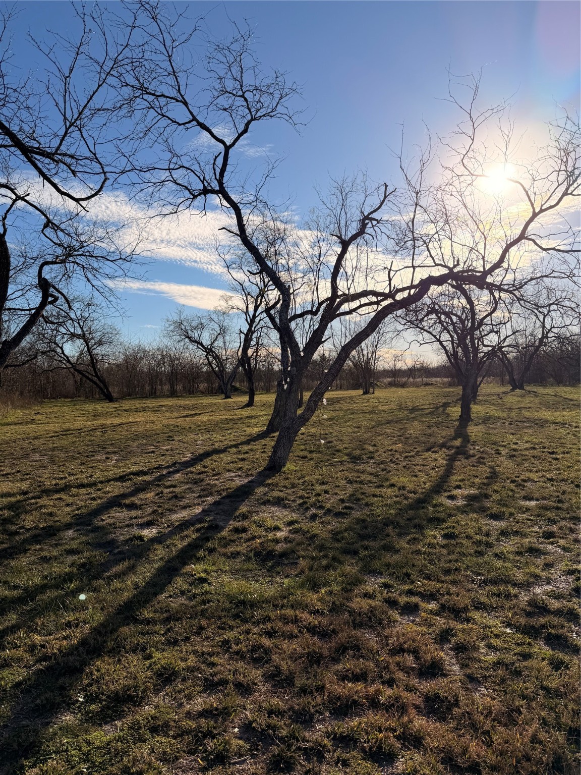 9013 W Shoreline Drive