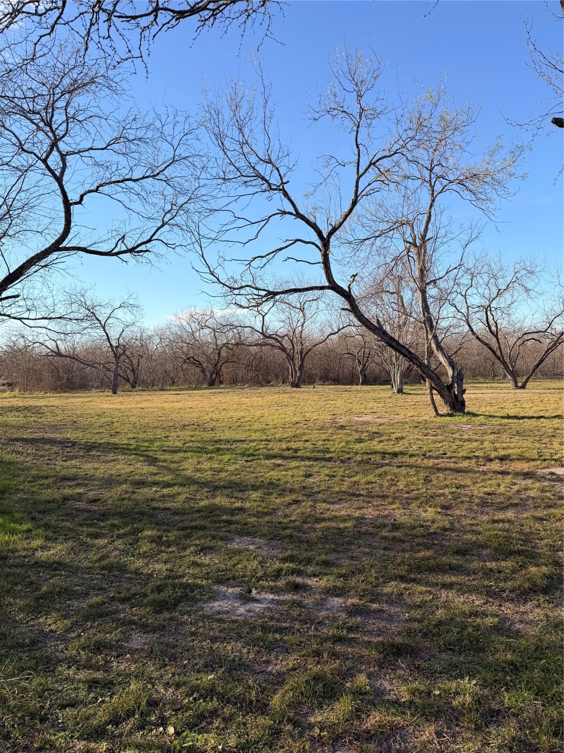 9013 W Shoreline Drive