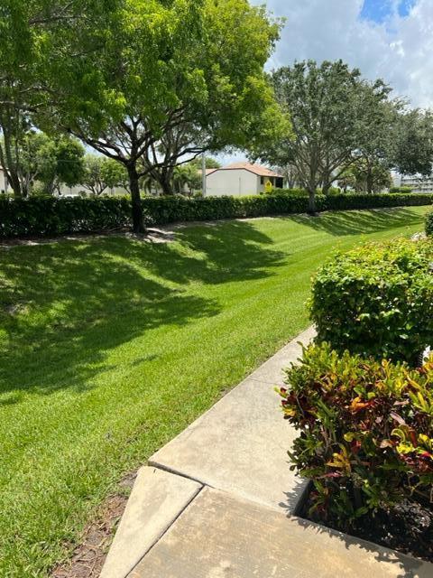 3116 Grandiflora Drive