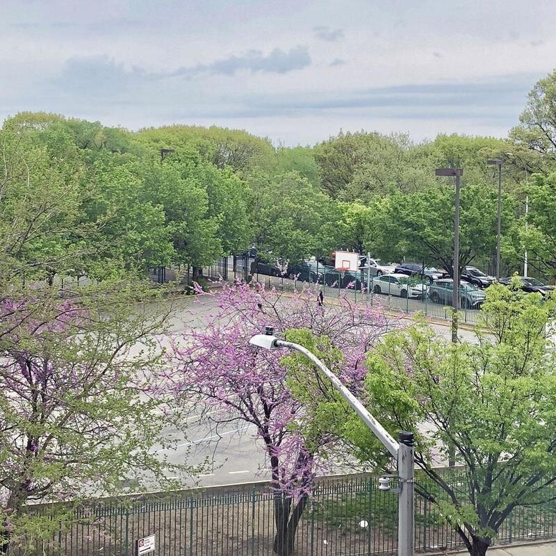 448 W 167TH Street 3D