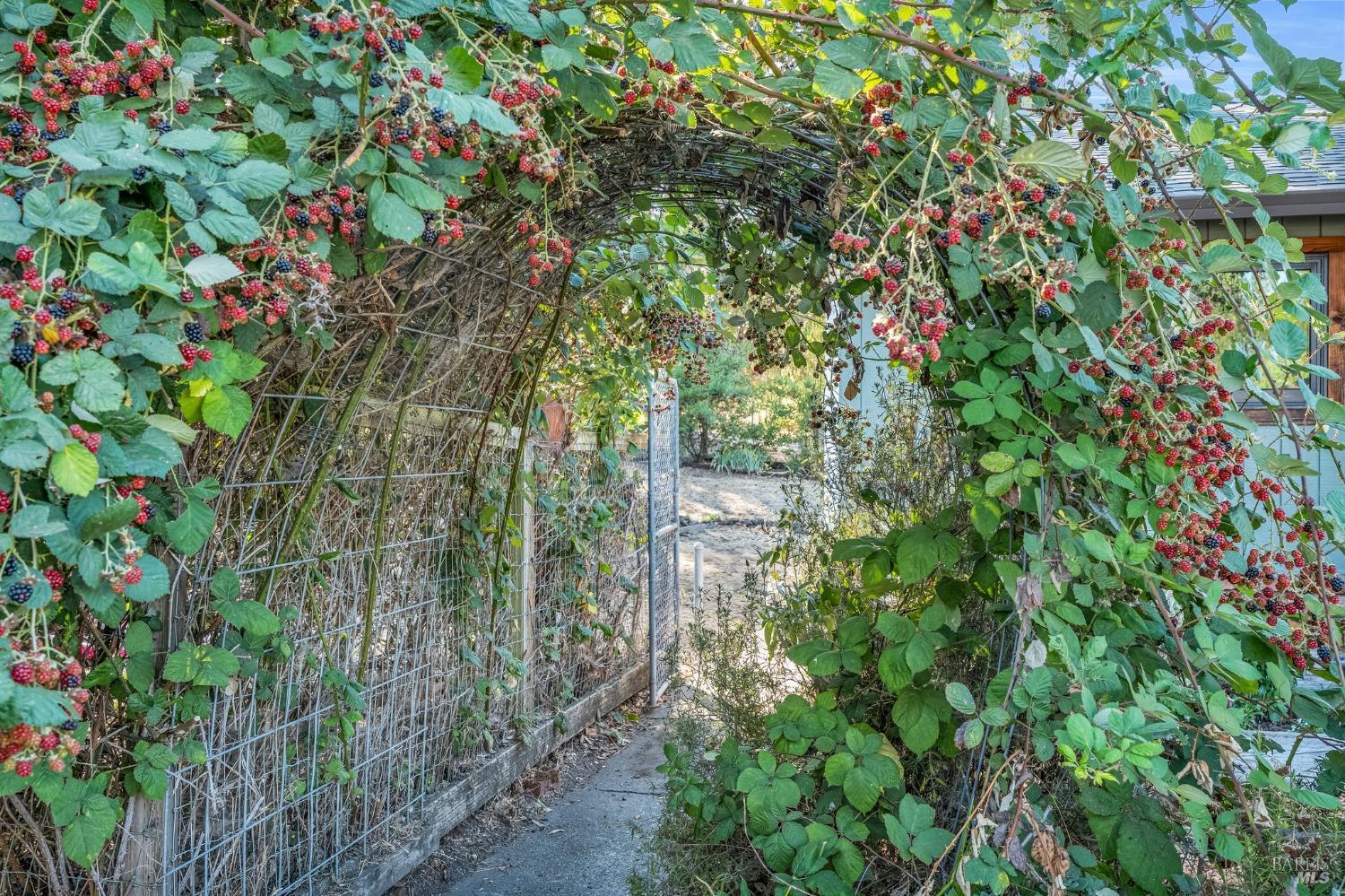 909-911 W Sierra Ave