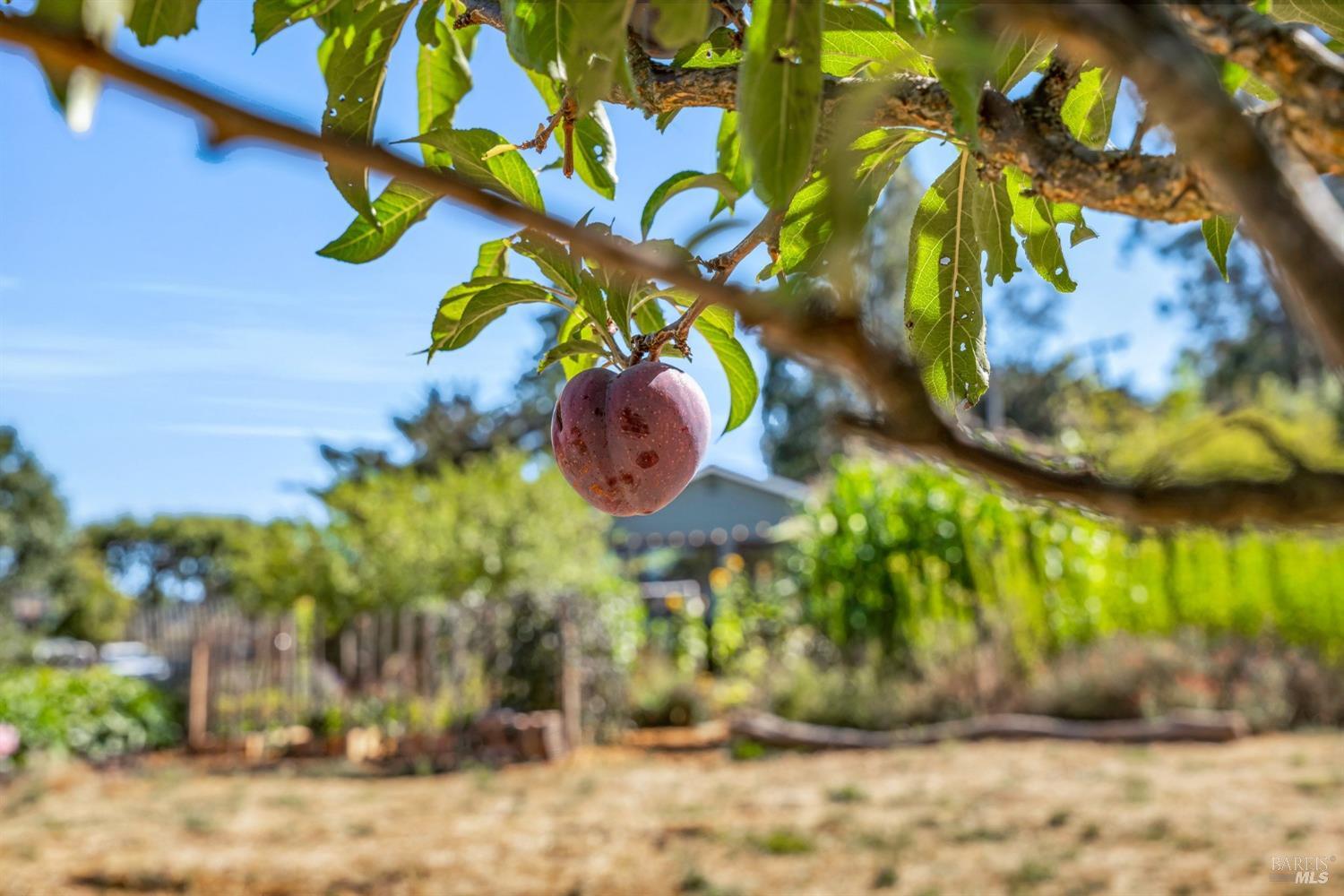 909-911 W Sierra Ave