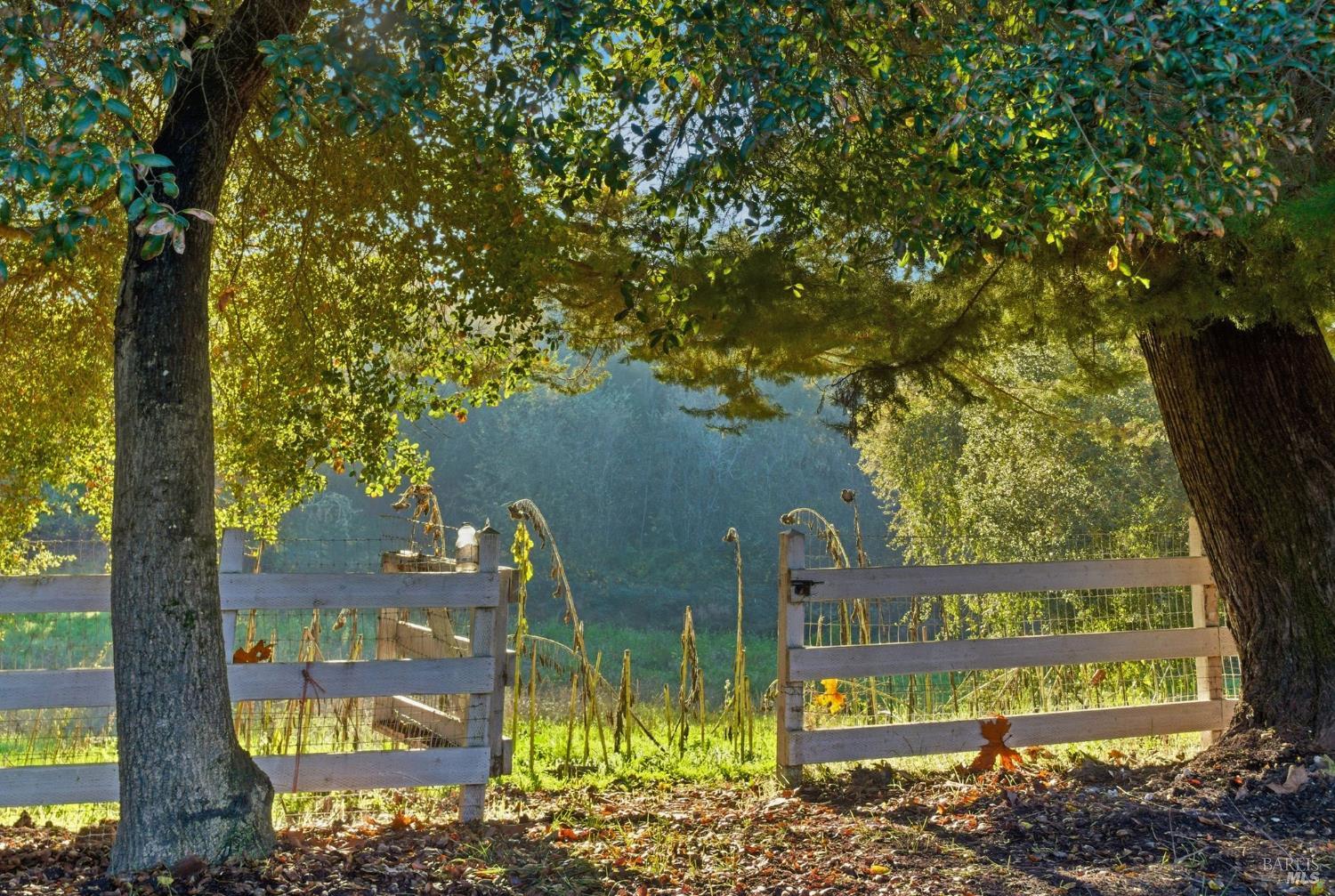 6404 Guerneville Road