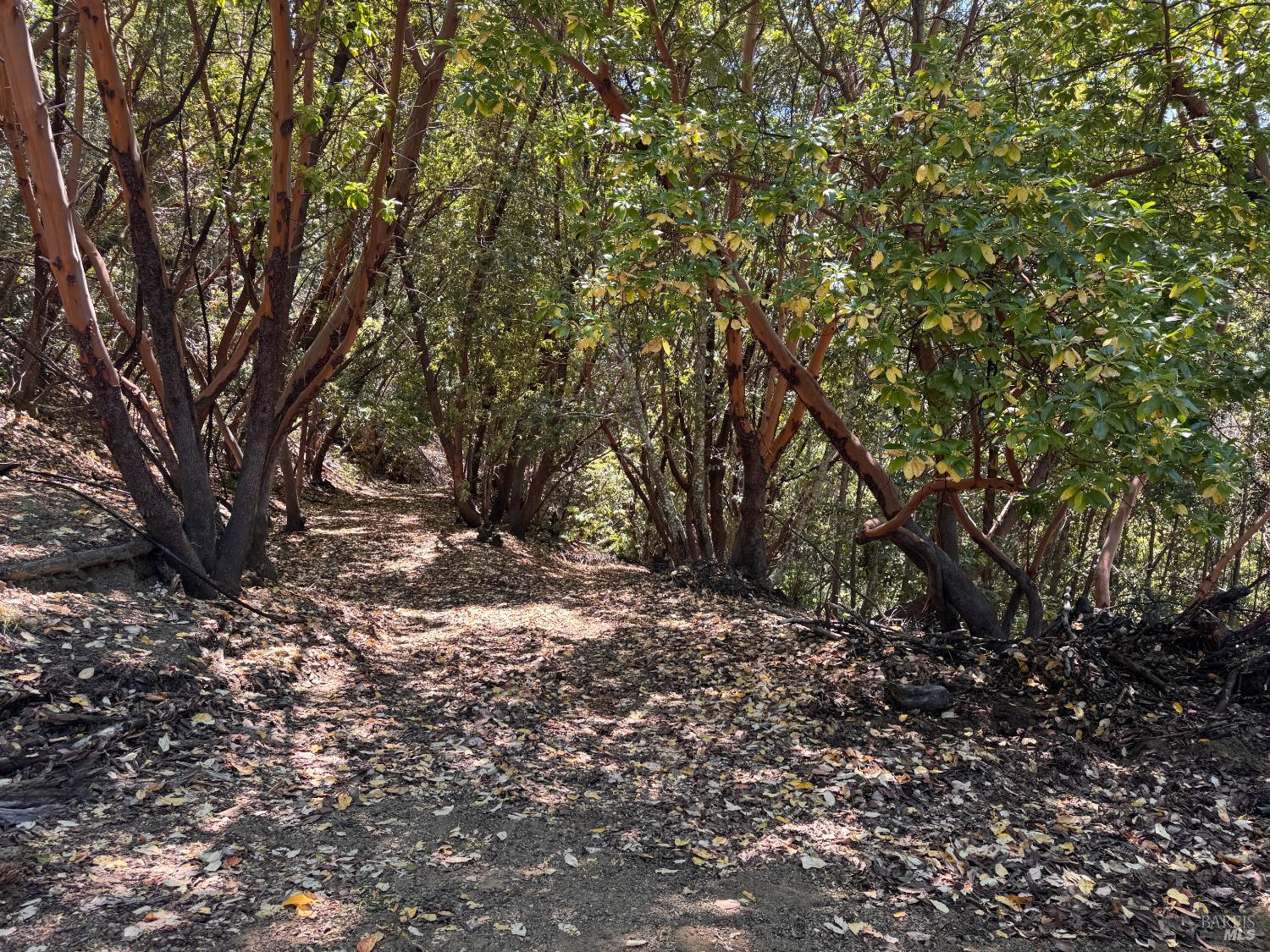 21530 Fort Ross Road
