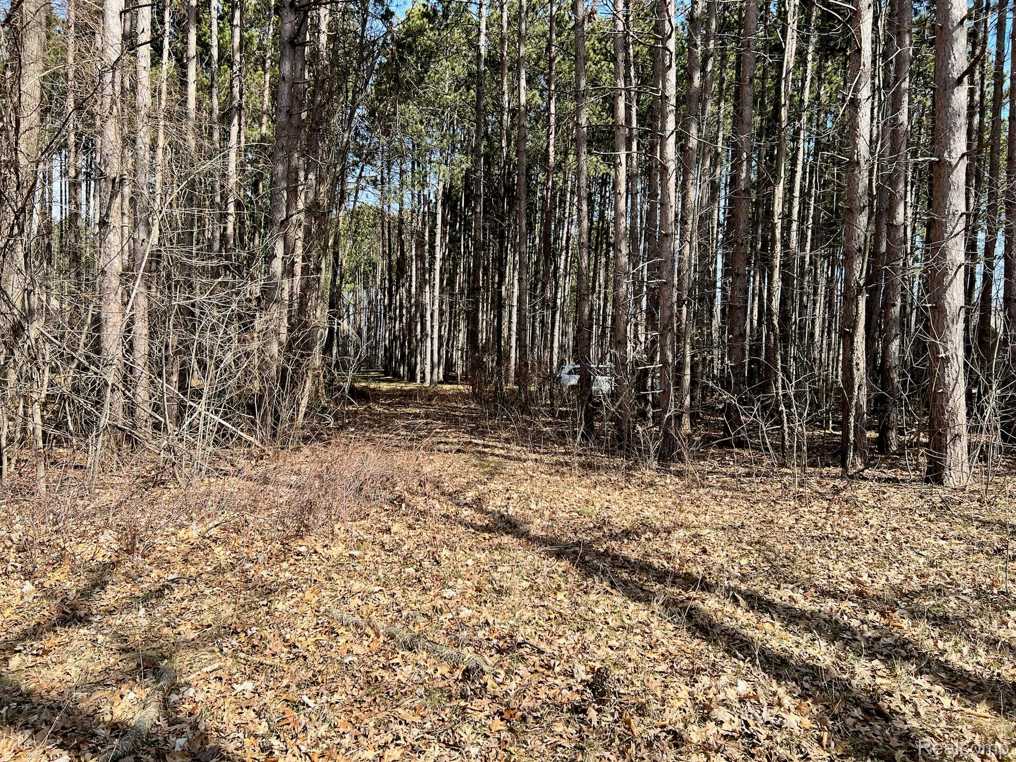 9047 Pineview River Drive