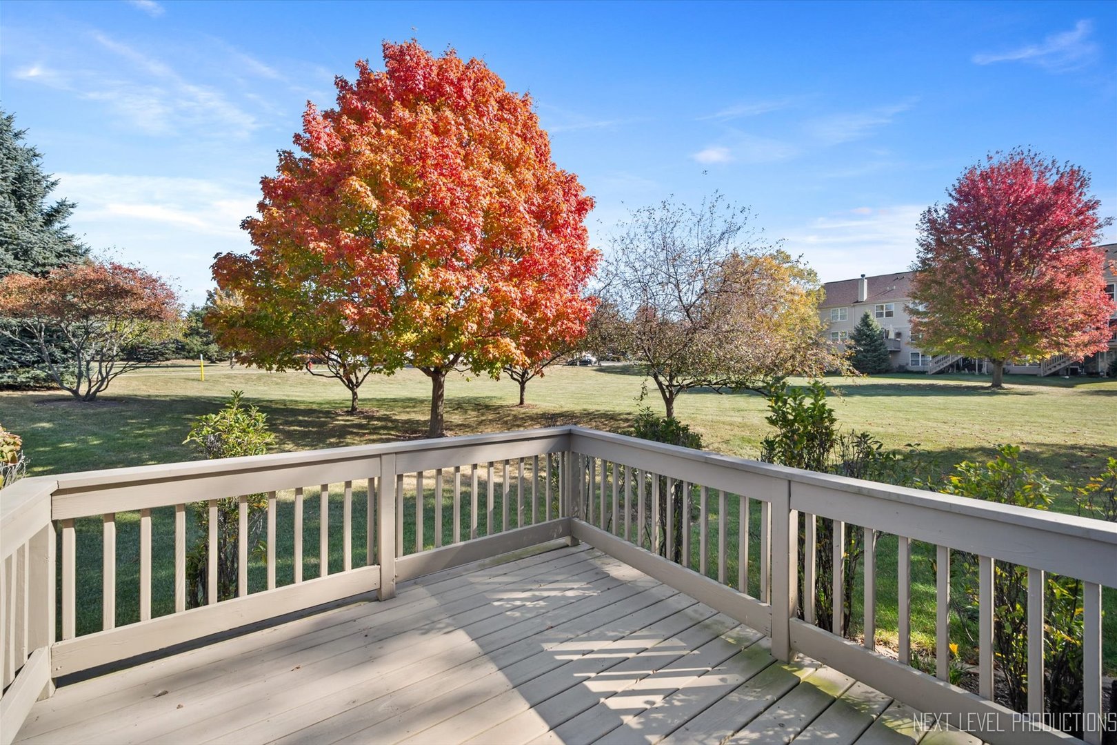 3114 Raphael Court