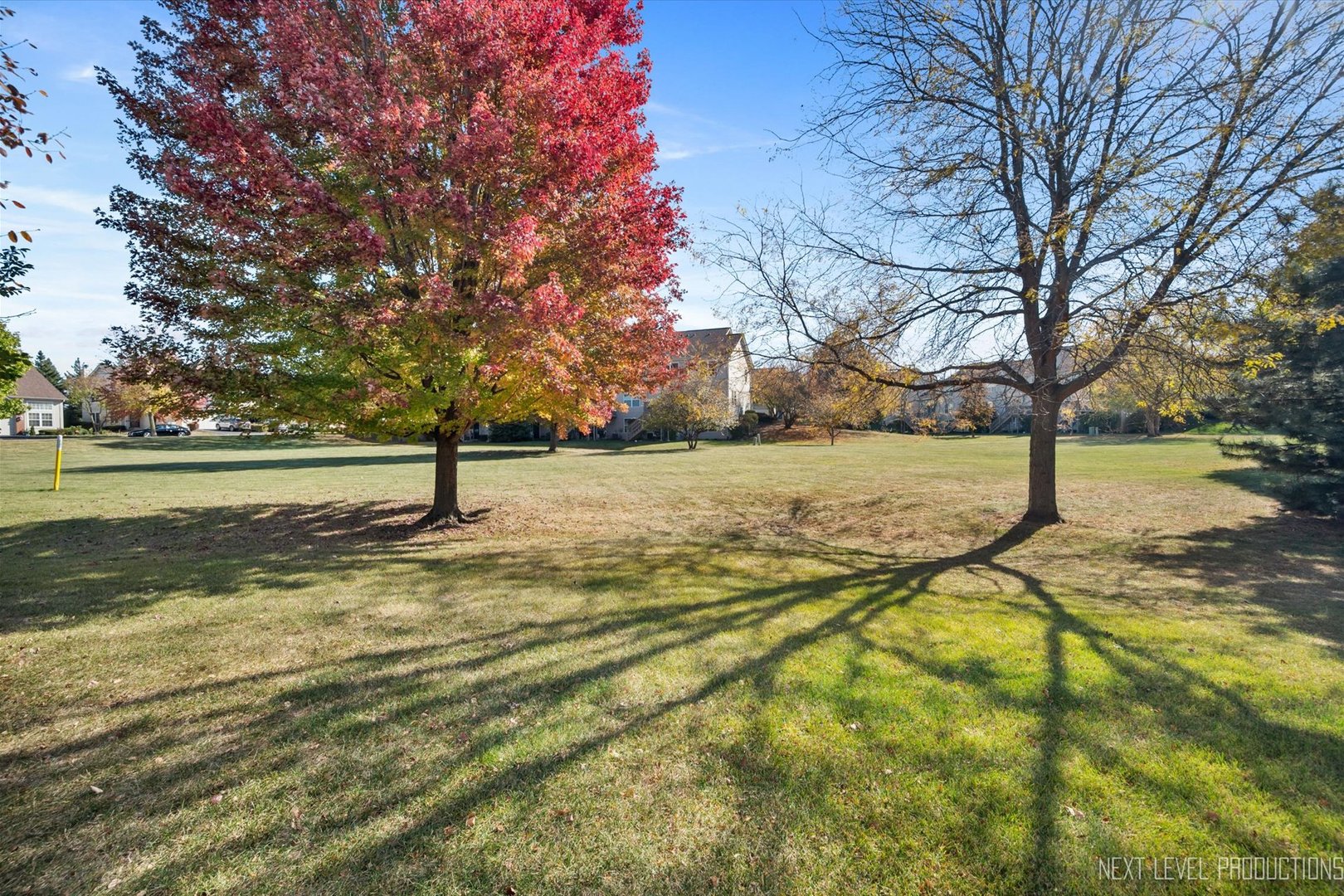 3114 Raphael Court