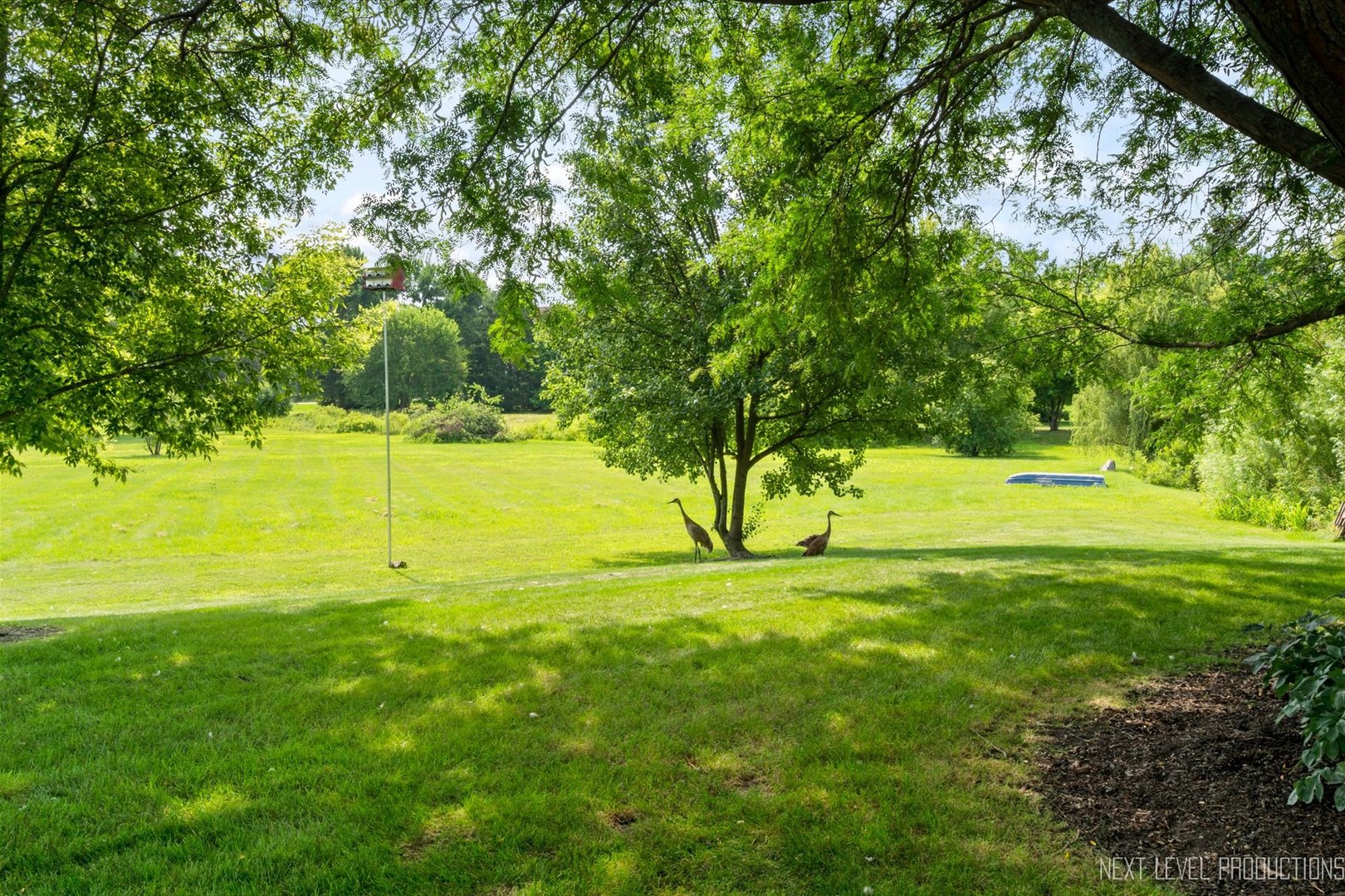 5N648 Farrier Point Lane