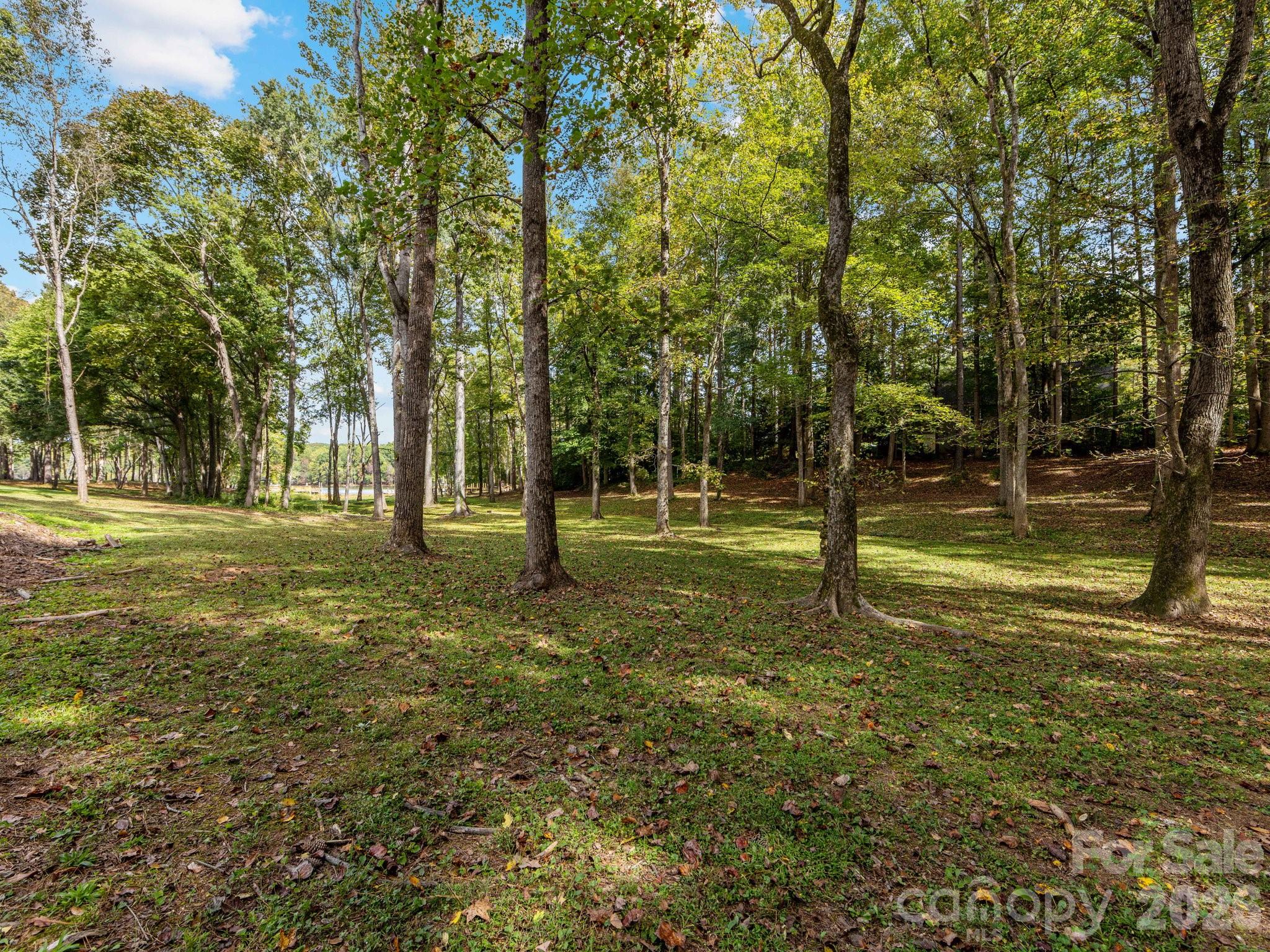 5619 Mountain Point Lane