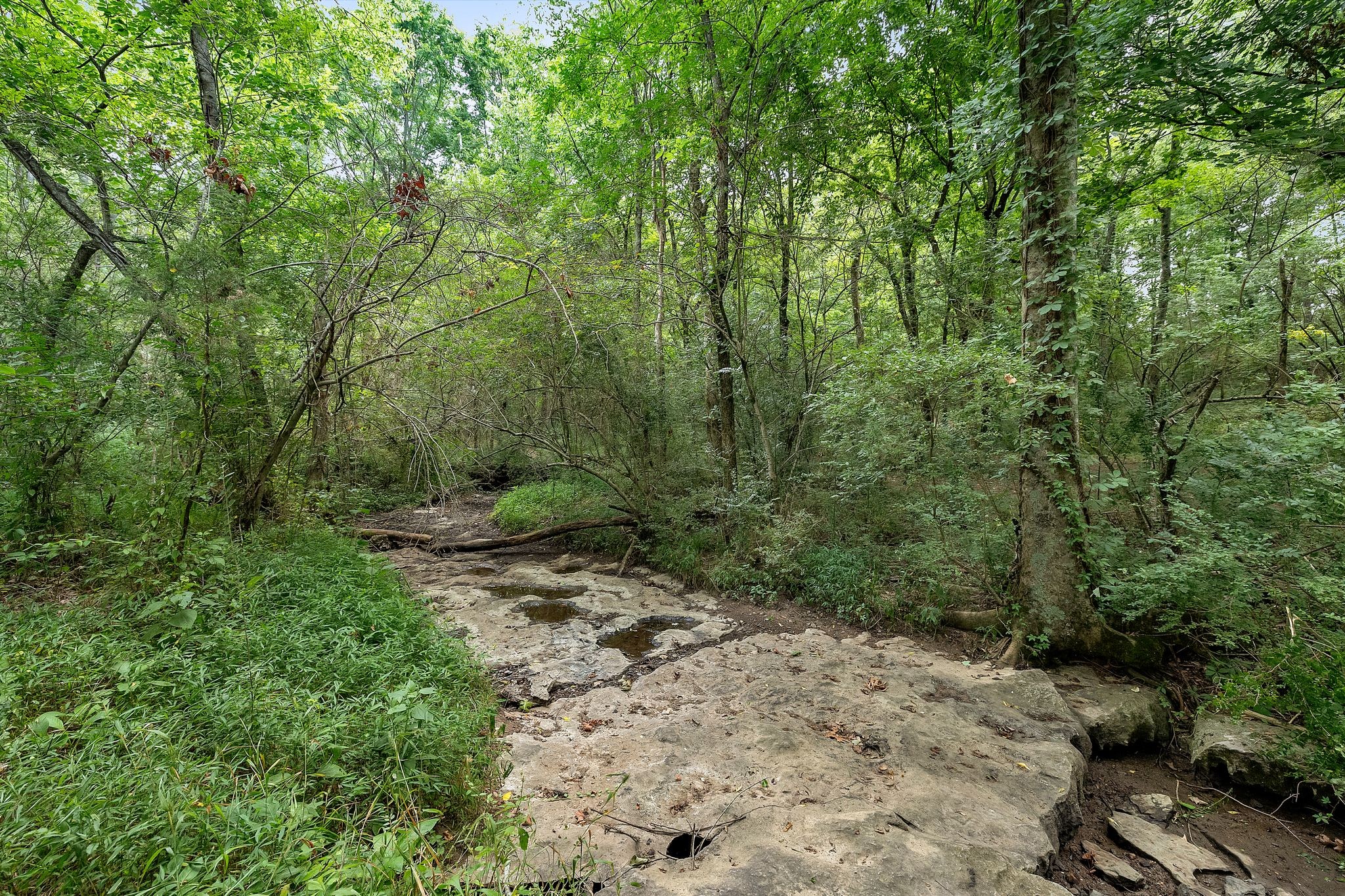 164 Haley Rd
