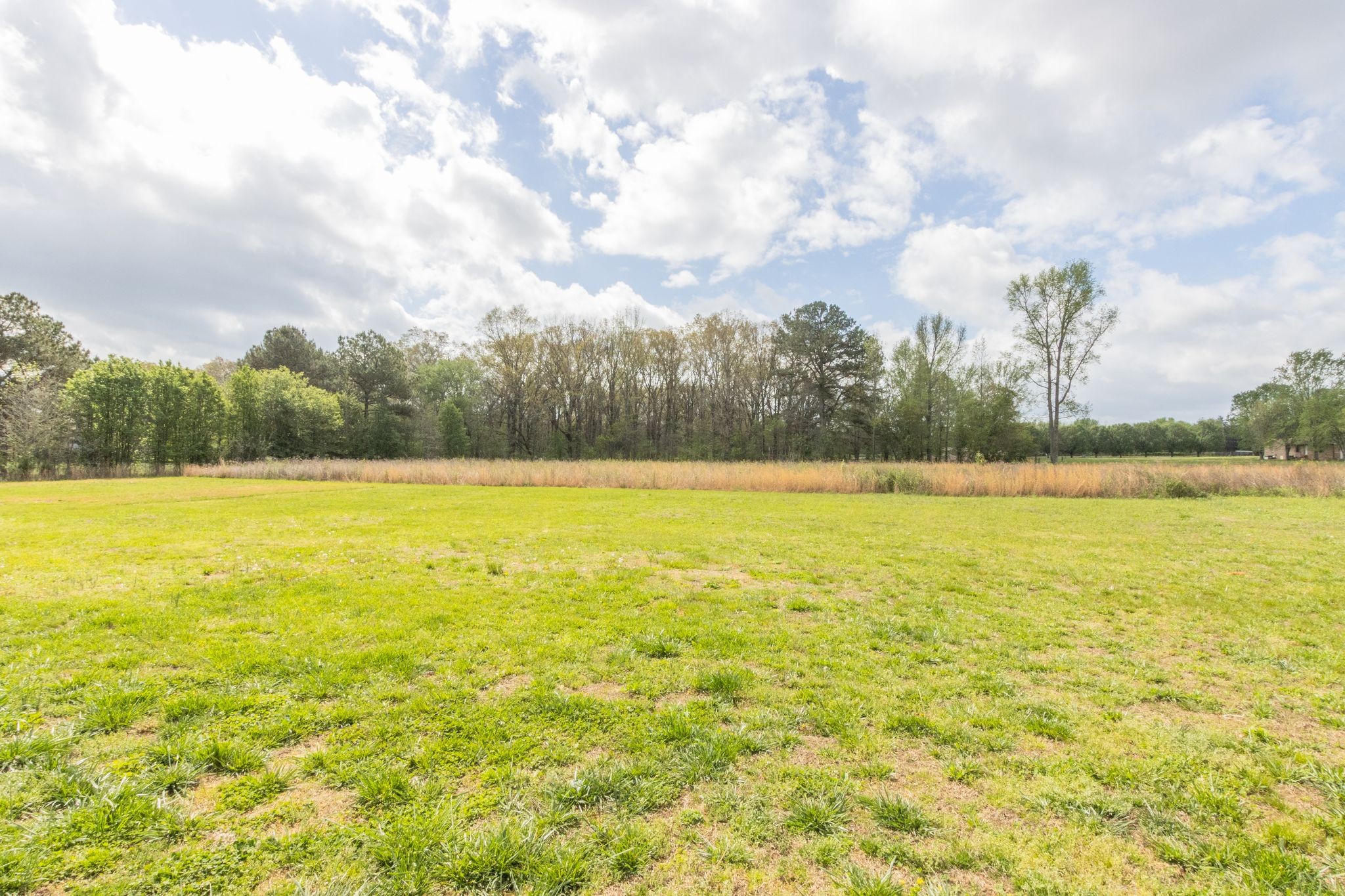 210 Deer Creek Ln