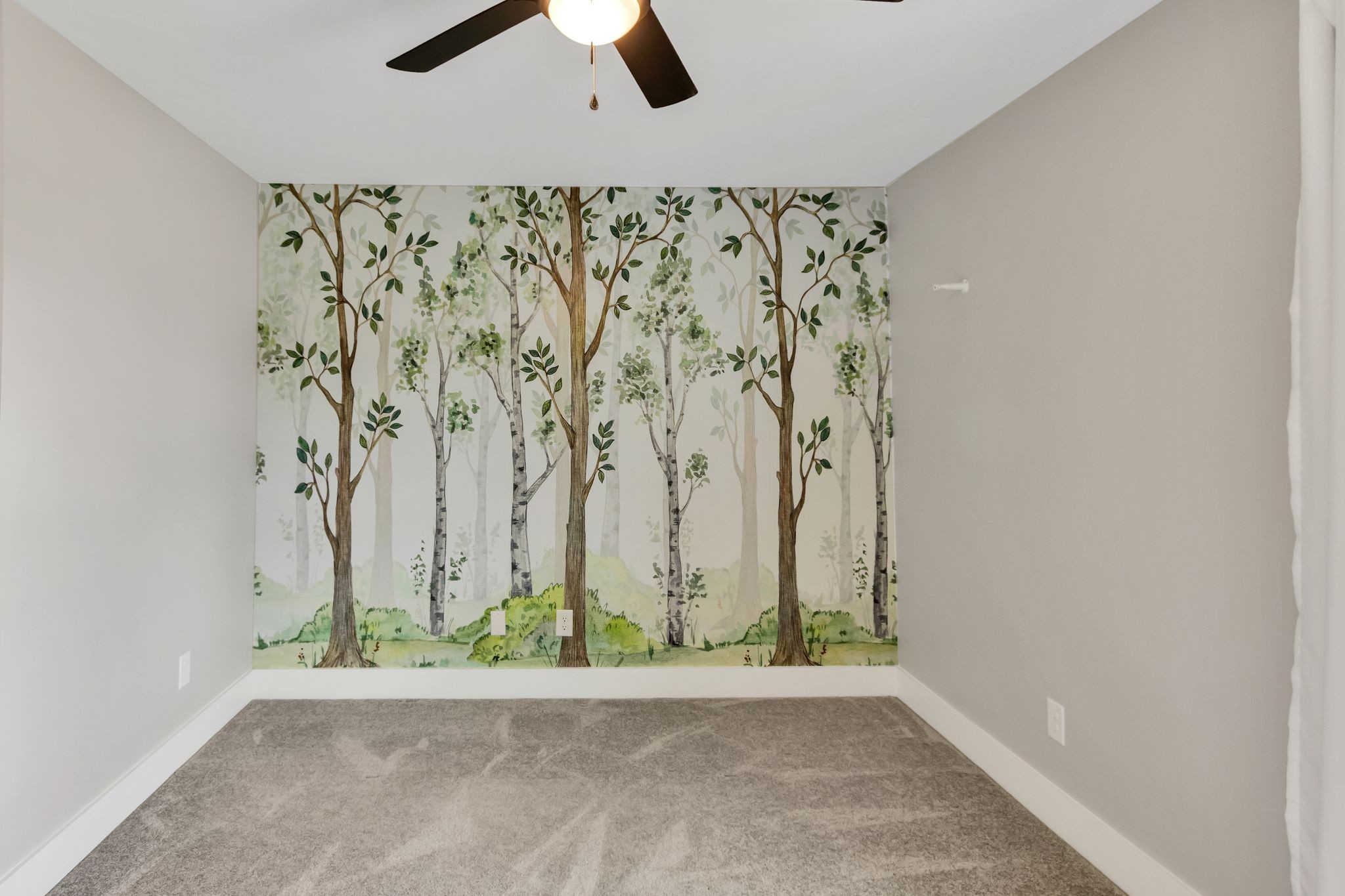 210 Deer Creek Ln