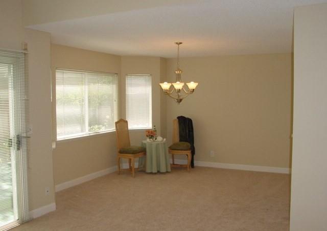 923 Springview Circle