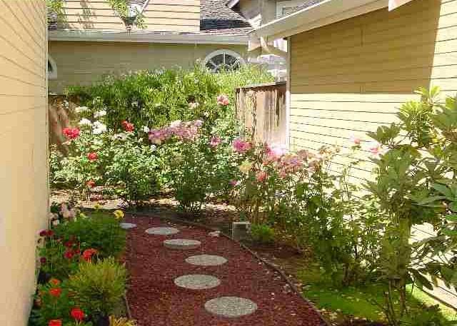 923 Springview Circle