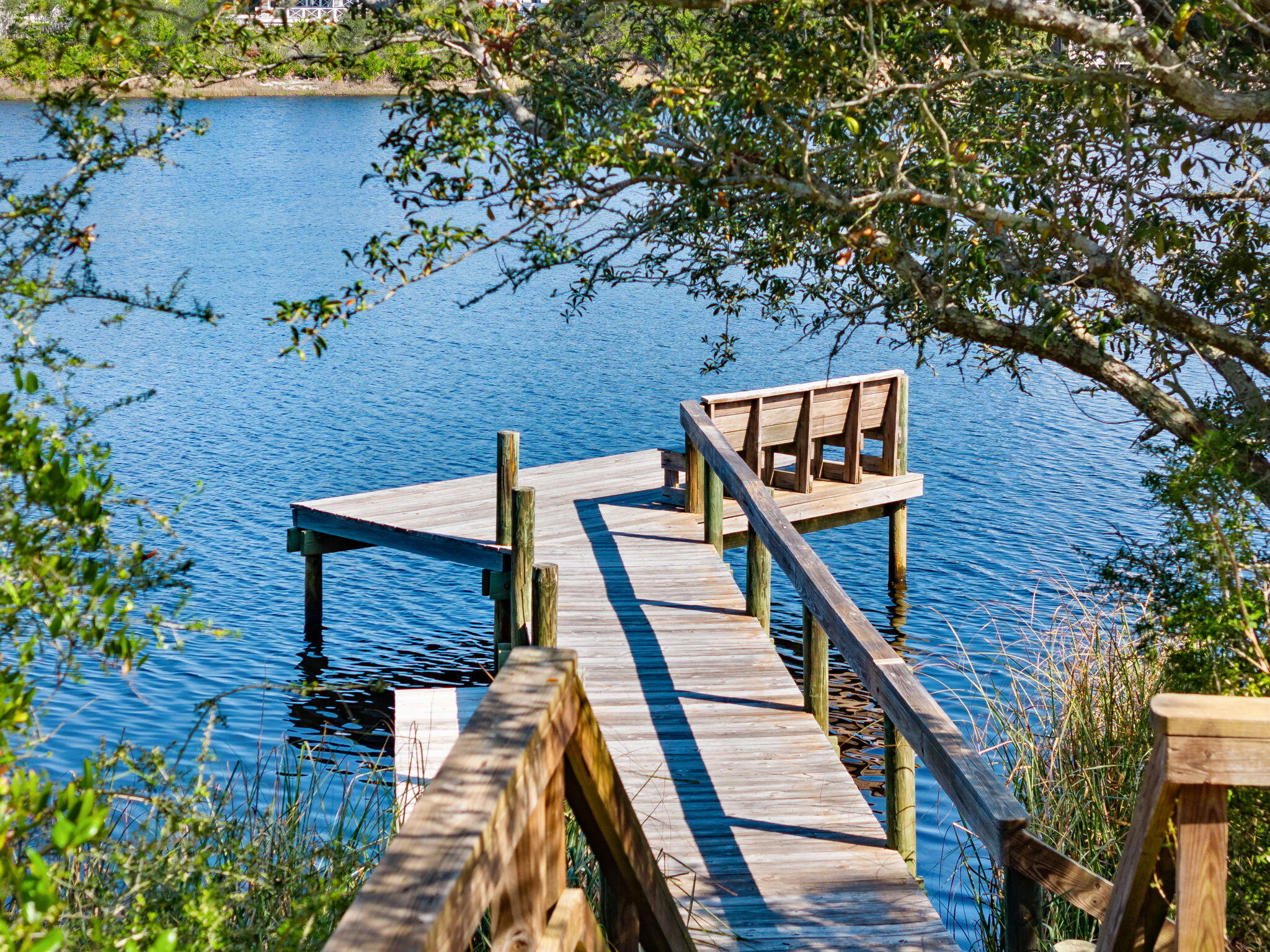 Wooden dock extending over blue water beneath leafy branches, with a raised platform at its end.