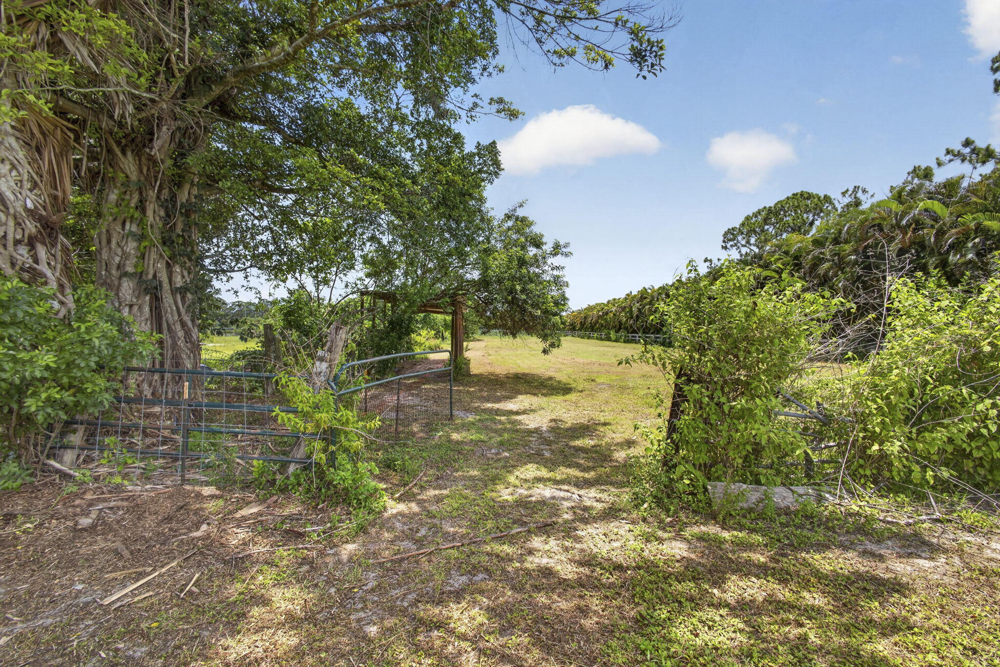 2944 A Road