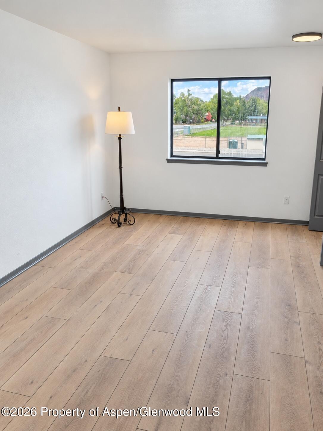 Empty room with light wood-plank flooring, a floor lamp, and a mountain view through the window.