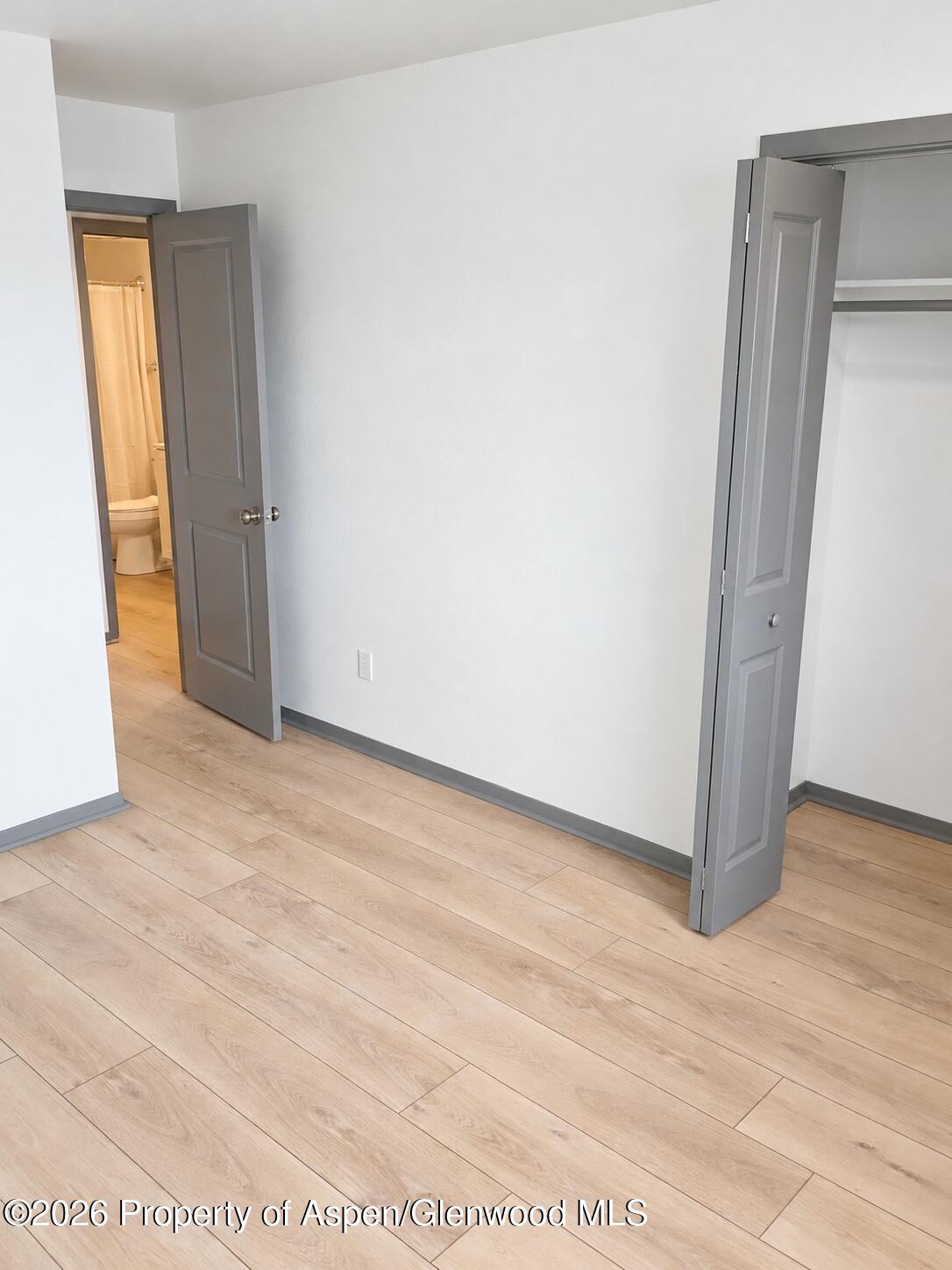Empty room with light wood-look flooring, an open closet, and a bathroom visible through the doorway.