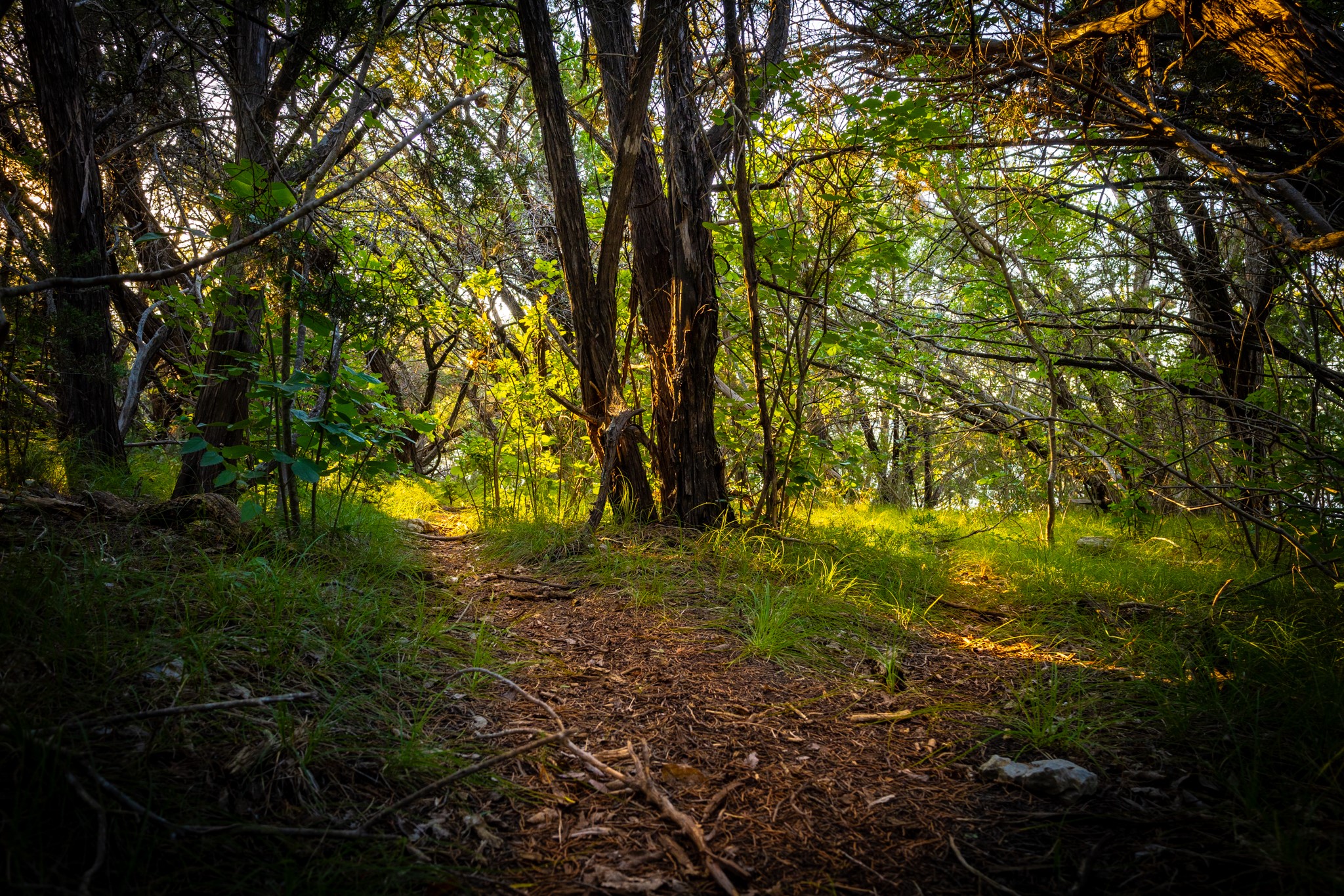 Lot 77 Clearwater Point