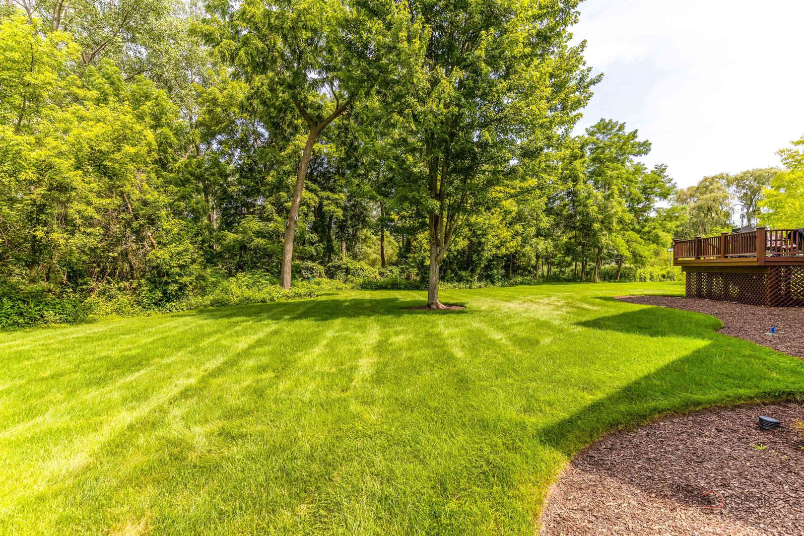 4979 Wild Rose Lane