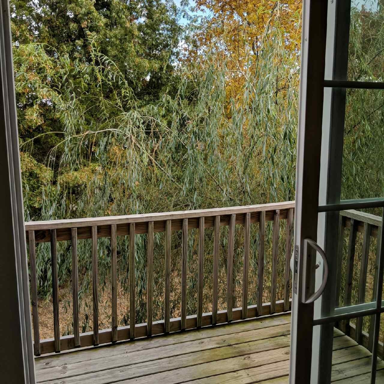 3030 Ned Shelton Rd Unit: 232