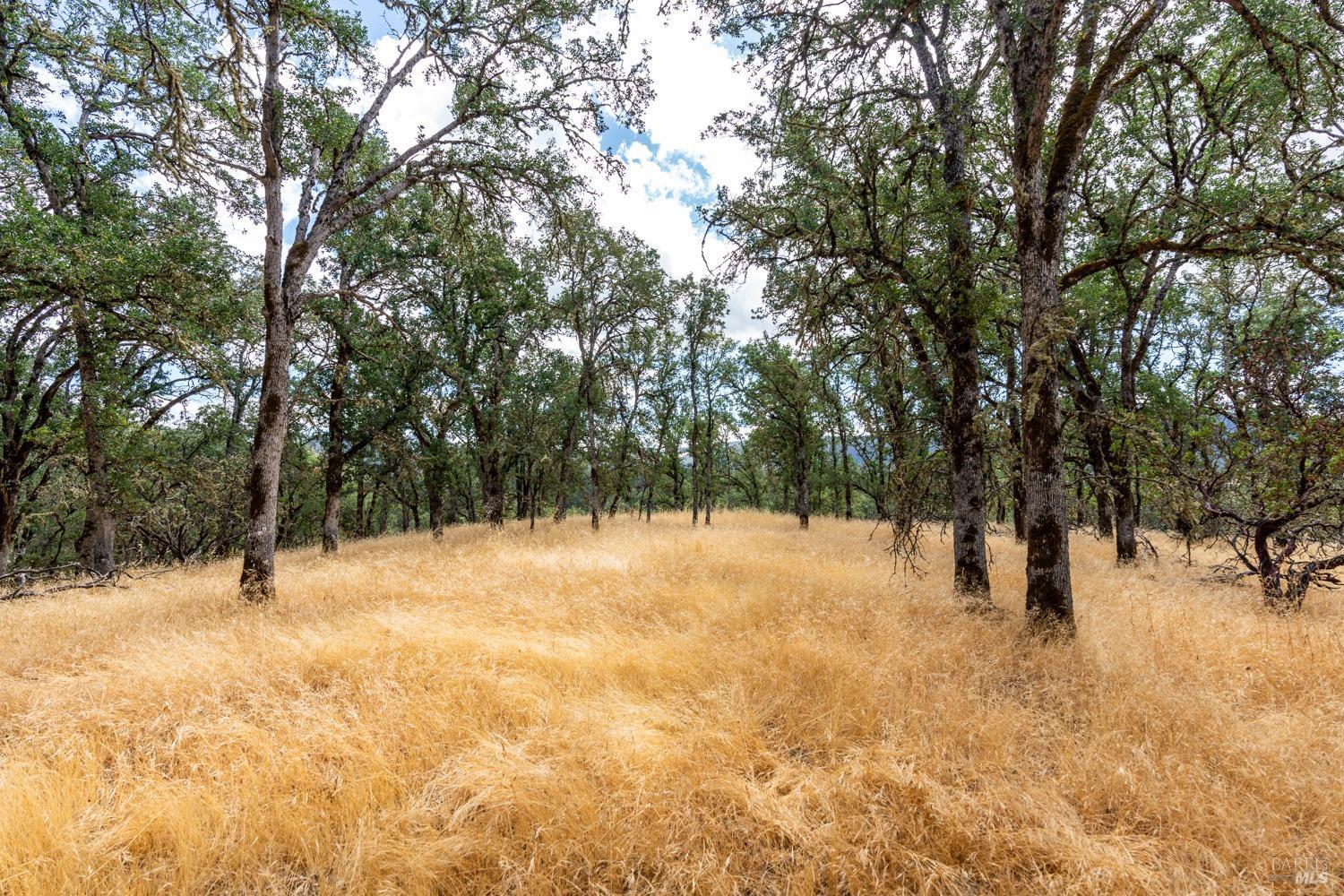 7440 S State HWY 29 Highway