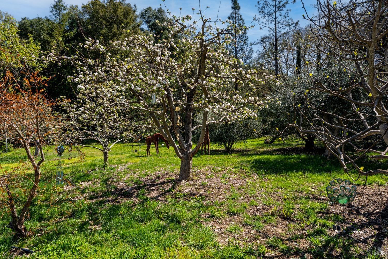 5490 Eastside Calpella Rd